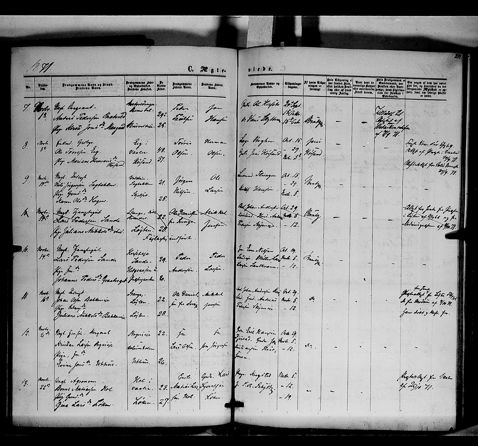 Romedal prestekontor, AV/SAH-PREST-004/K/L0005: Ministerialbok nr. 5, 1862-1874, s. 219