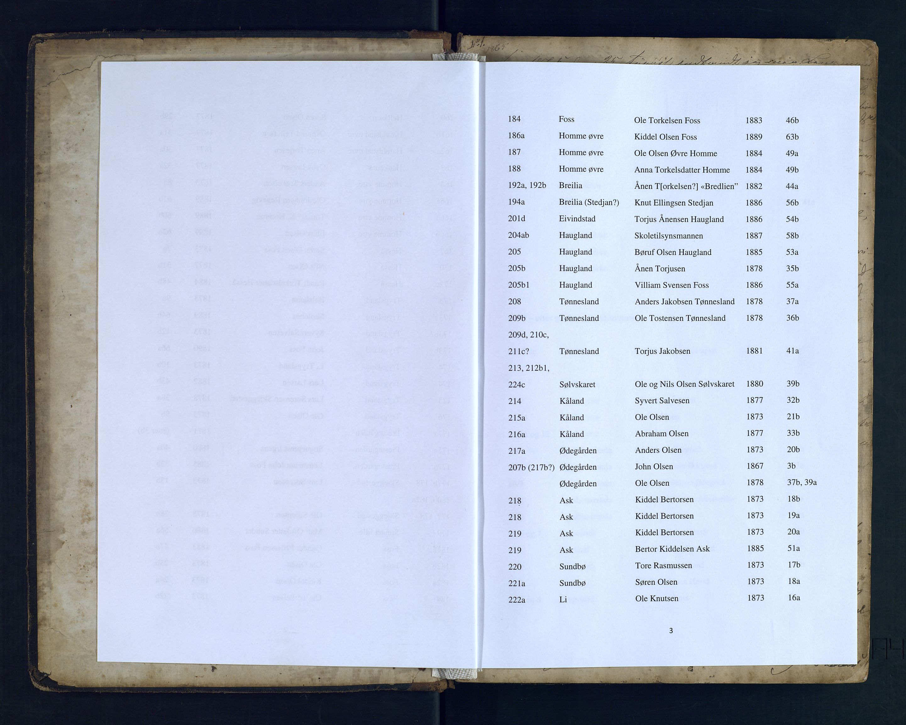 Norges Brannkasse Bjelland, AV/SAK-2241-0006/F/Fa/L0001A: Branntakstprotokoll med gårdsnavnregister, 1865-1920