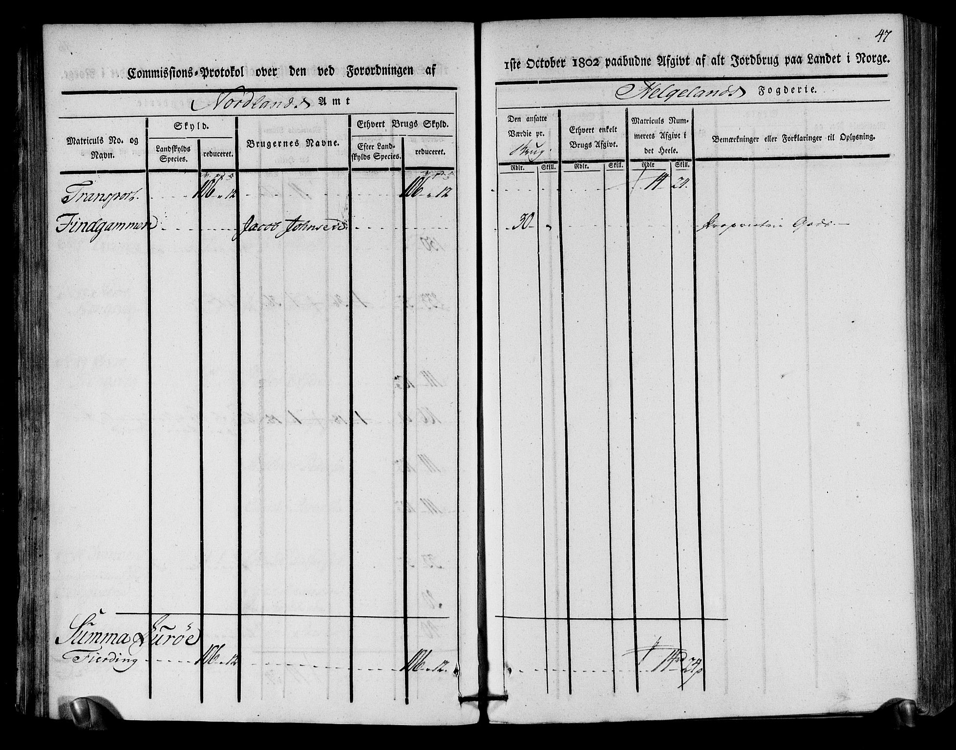 Rentekammeret inntil 1814, Realistisk ordnet avdeling, AV/RA-EA-4070/N/Ne/Nea/L0157: Helgeland fogderi. Kommisjonsprotokoll, 1803, s. 45