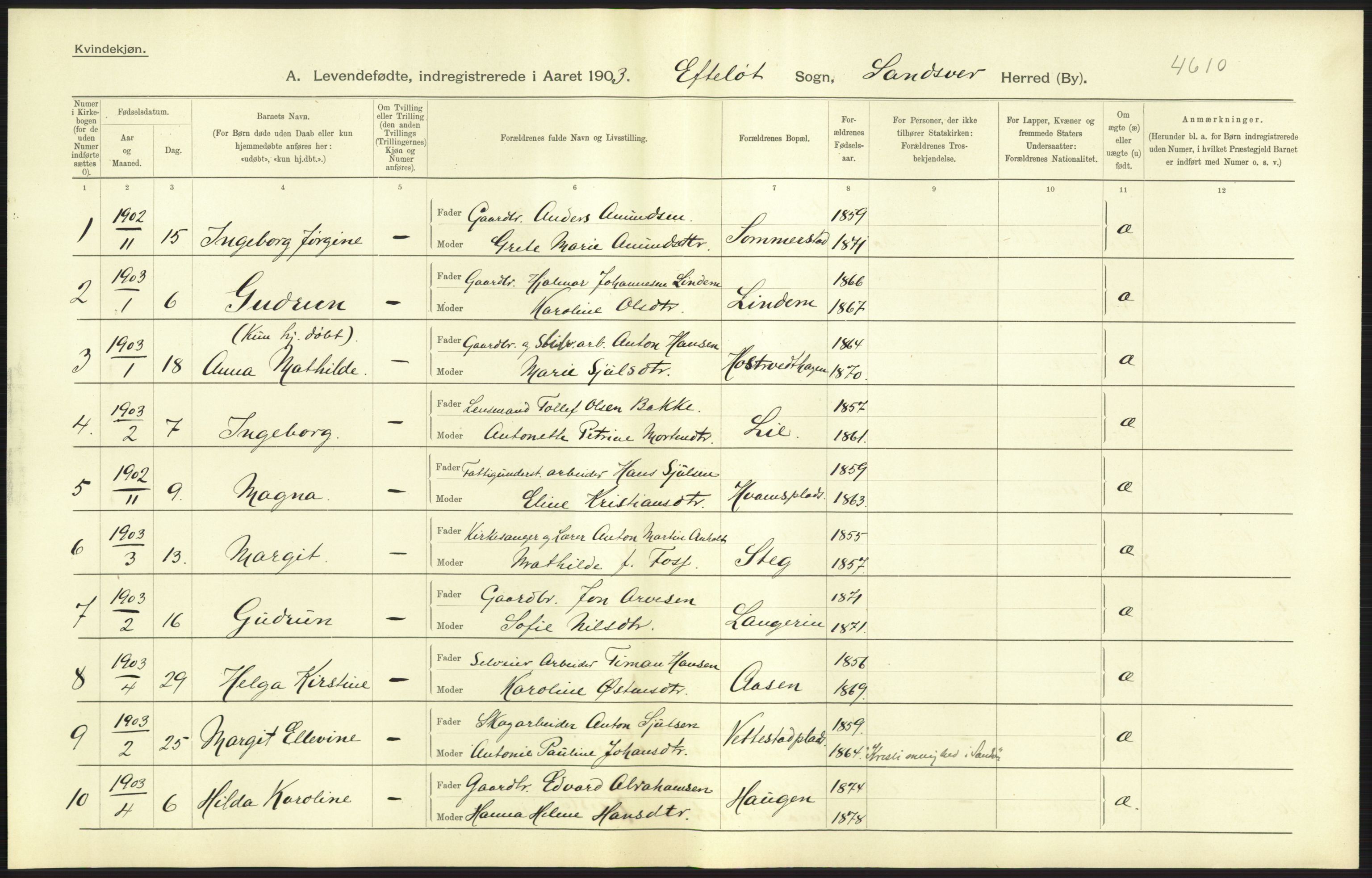 Statistisk sentralbyrå, Sosiodemografiske emner, Befolkning, AV/RA-S-2228/D/Df/Dfa/Dfaa/L0007: Buskeruds amt: Fødte, gifte, døde, 1903, s. 39