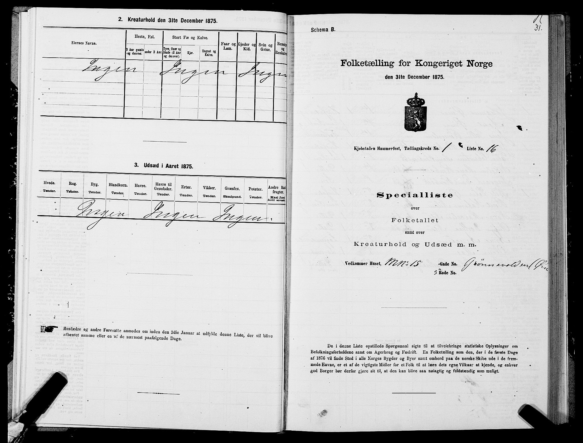 SATØ, Folketelling 1875 for 2001B Hammerfest prestegjeld, Hammerfest kjøpstad, 1875, s. 1031
