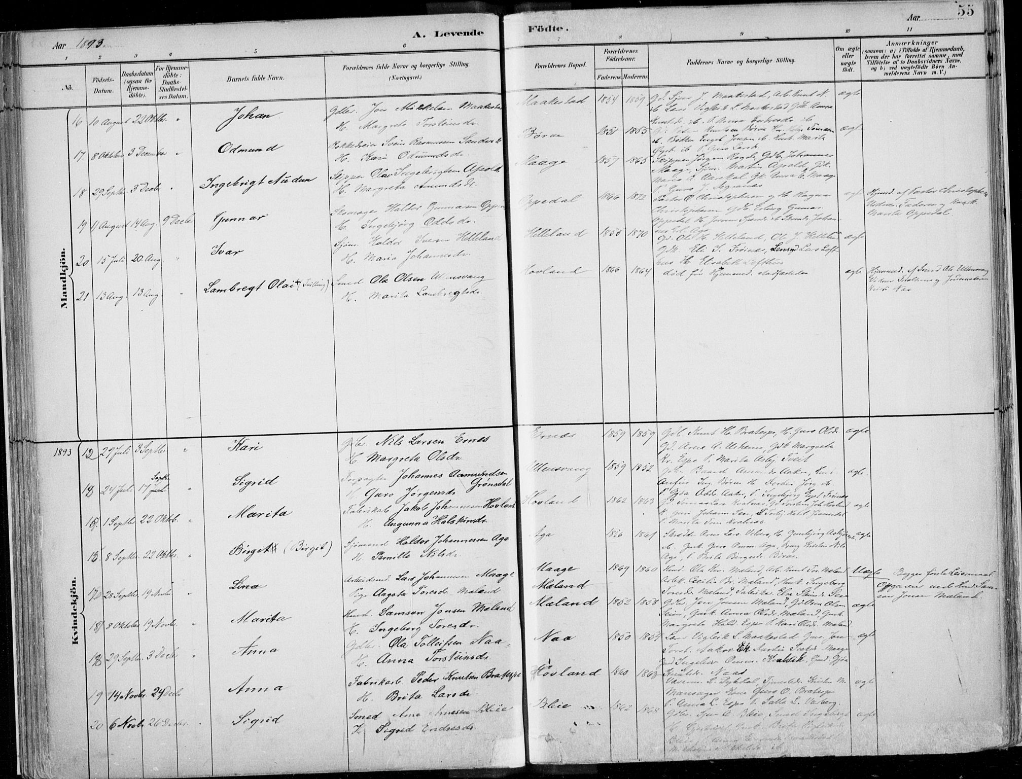 Ullensvang sokneprestembete, AV/SAB-A-78701/H/Haa: Ministerialbok nr. B  1, 1882-1918, s. 55