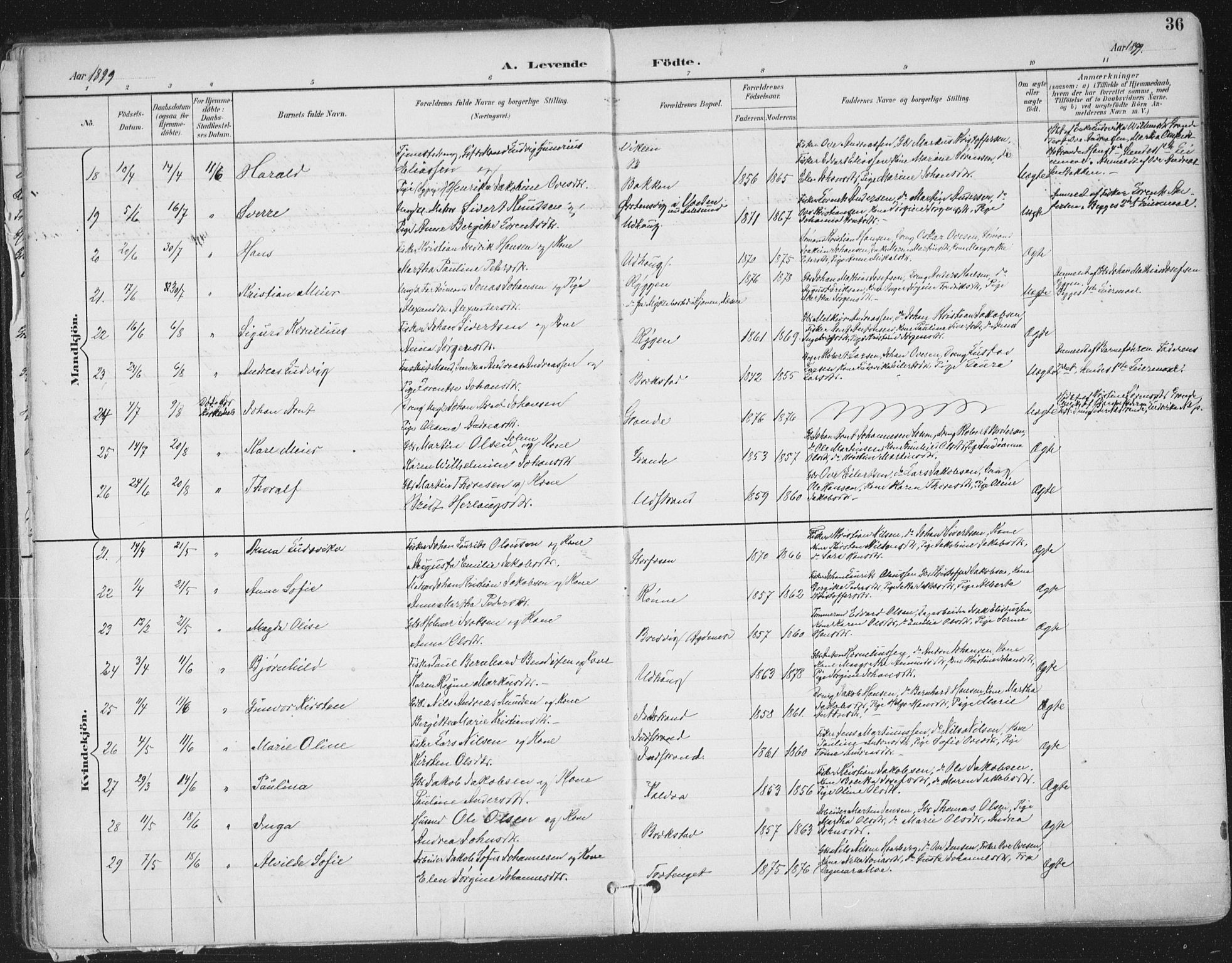 Ministerialprotokoller, klokkerbøker og fødselsregistre - Sør-Trøndelag, SAT/A-1456/659/L0743: Ministerialbok nr. 659A13, 1893-1910, s. 36