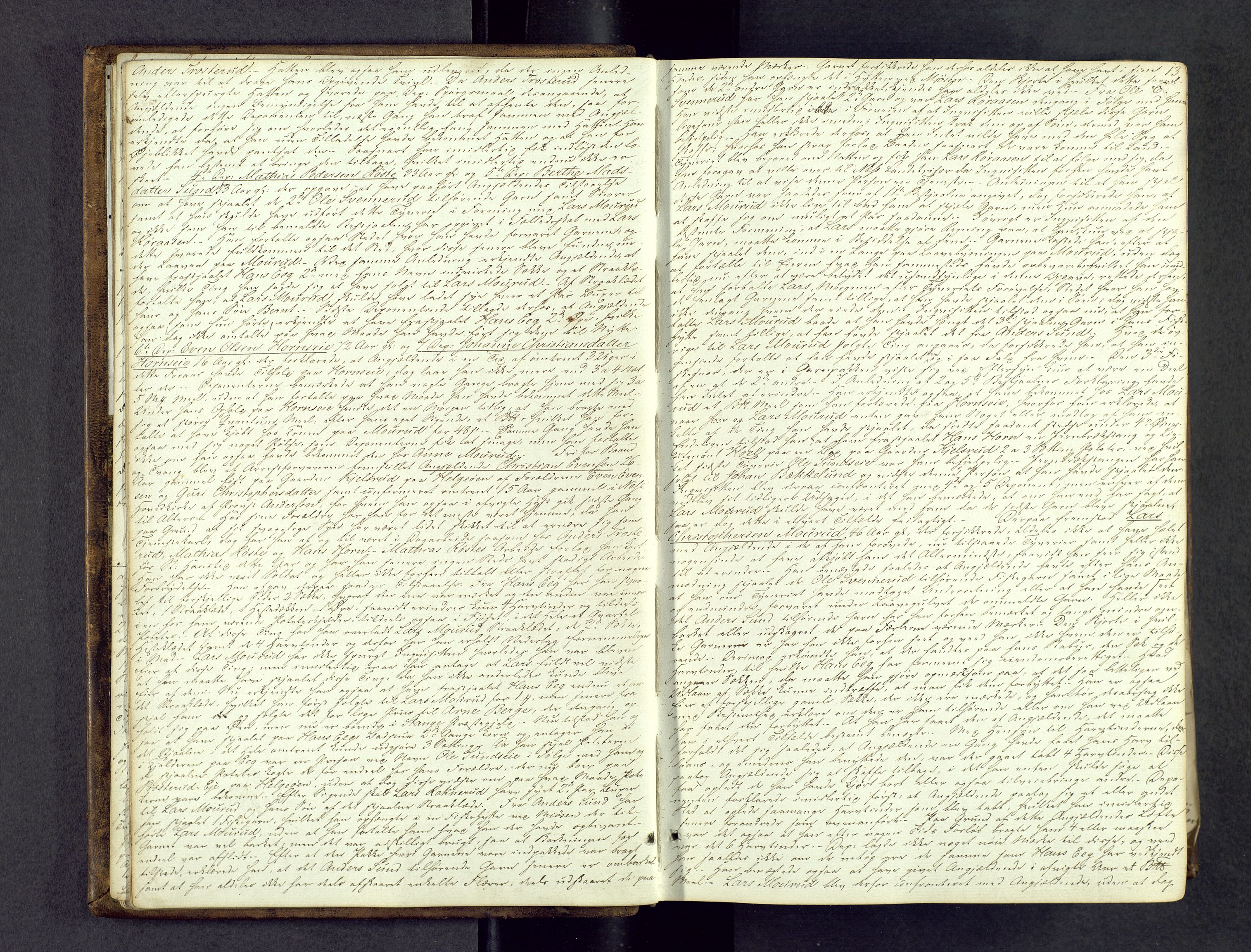 Nord-Hedmark sorenskriveri, AV/SAH-TING-012/G/Gc/L0006: Ekstrarettsprotokoll, 1838-1845, s. 12b-13a