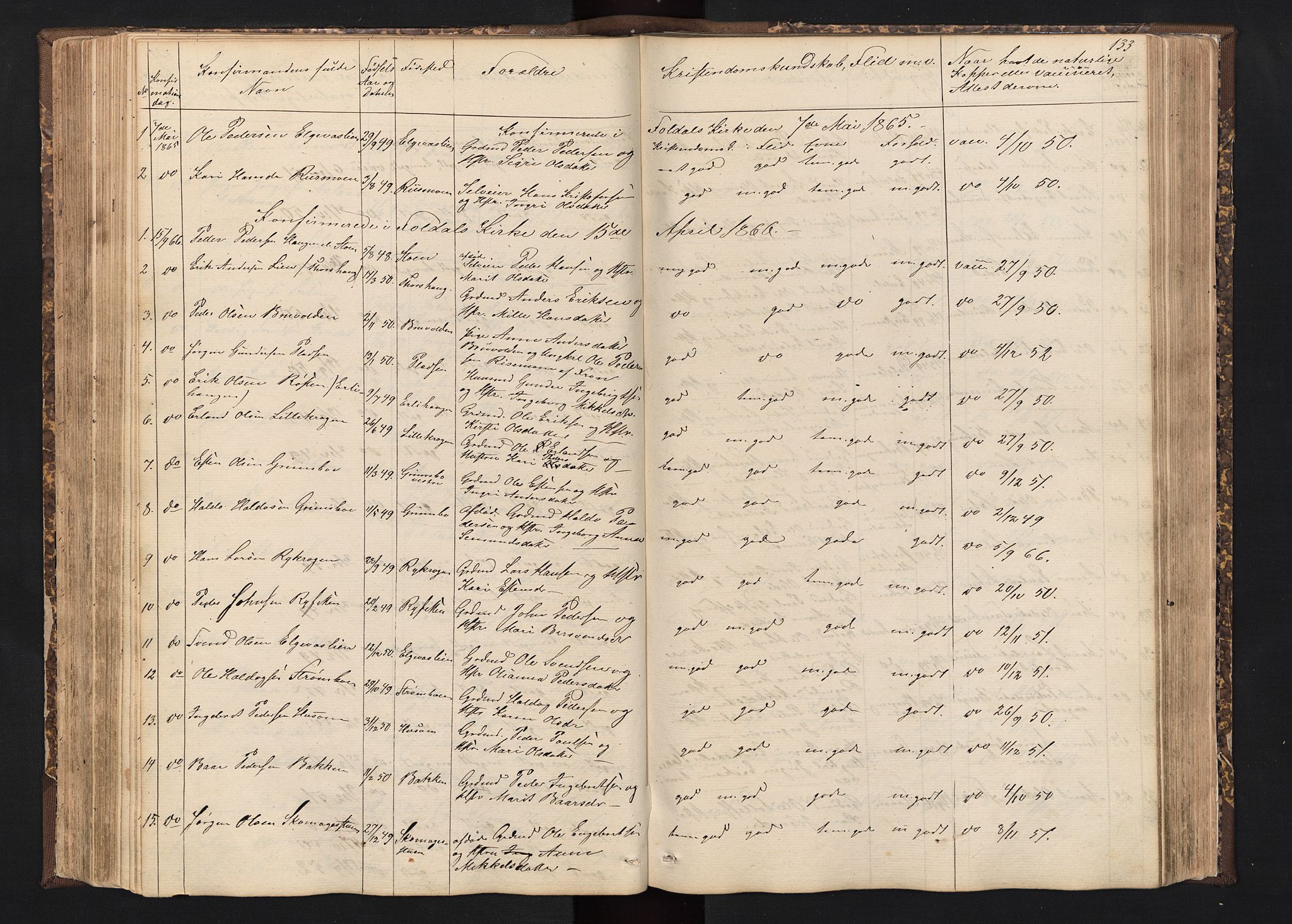 Alvdal prestekontor, AV/SAH-PREST-060/H/Ha/Hab/L0001: Klokkerbok nr. 1, 1857-1893, s. 133