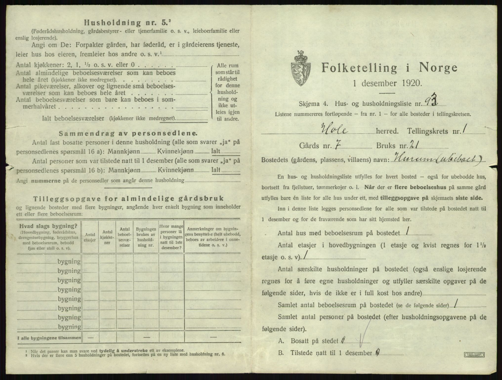 SAKO, Folketelling 1920 for 0612 Hole herred, 1920, s. 213