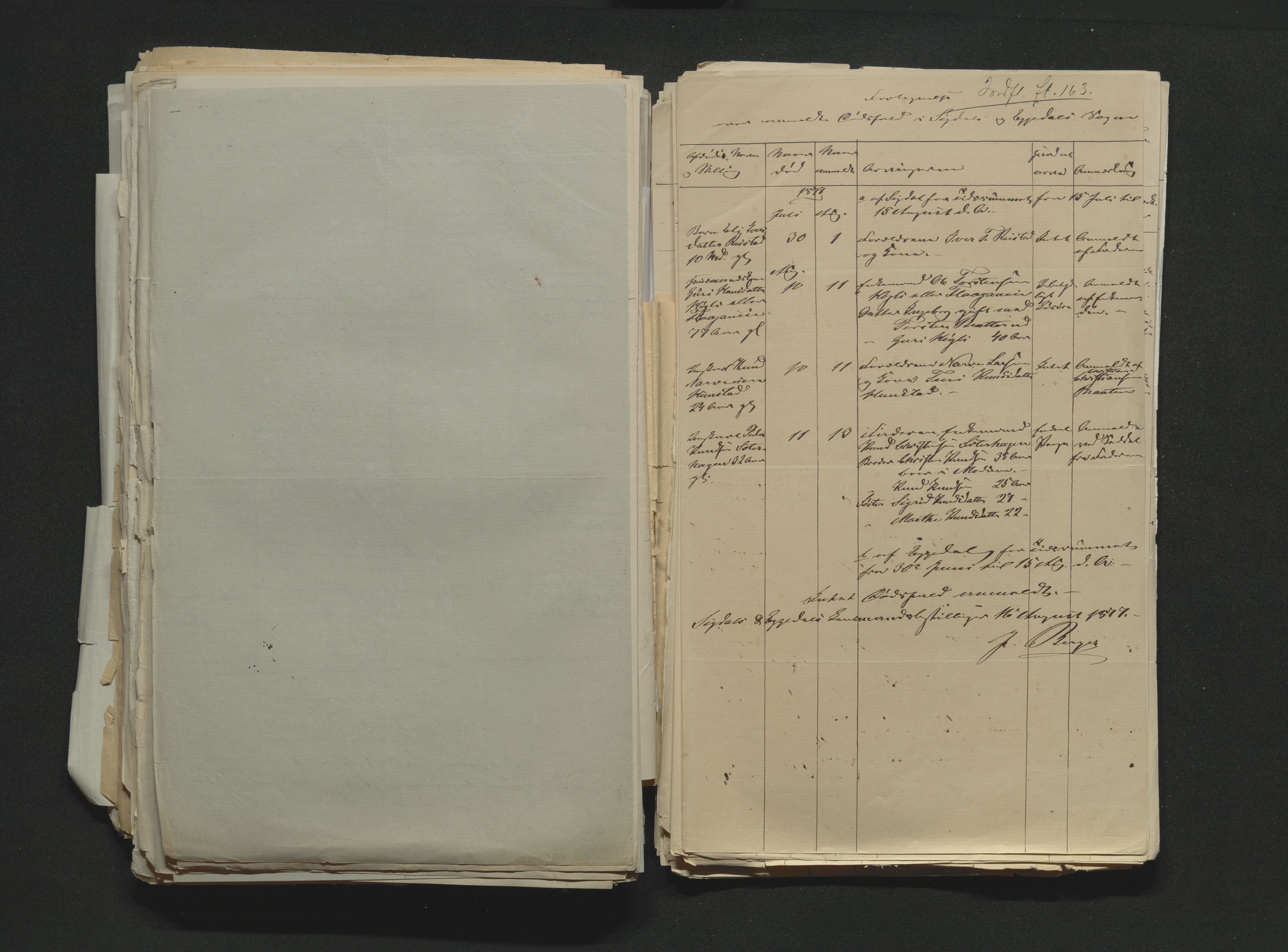 Eiker, Modum og Sigdal sorenskriveri, AV/SAKO-A-123/H/Ha/Hab/L0014: Dødsfallsmeldinger, 1874-1877, s. 719
