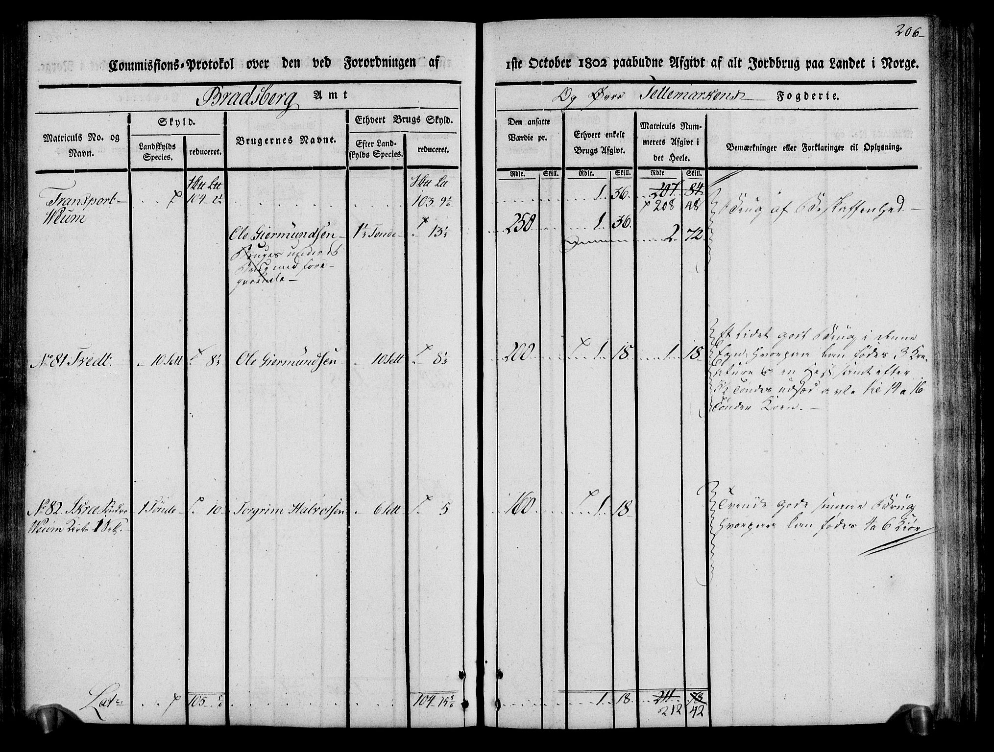 Rentekammeret inntil 1814, Realistisk ordnet avdeling, AV/RA-EA-4070/N/Ne/Nea/L0075: Øvre Telemarken fogderi. Kommisjonsprotokoll for fogderiets vestre del - Kviteseid, Vinje, Moland [):Fyresdal] og Lårdal prestegjeld., 1803, s. 208
