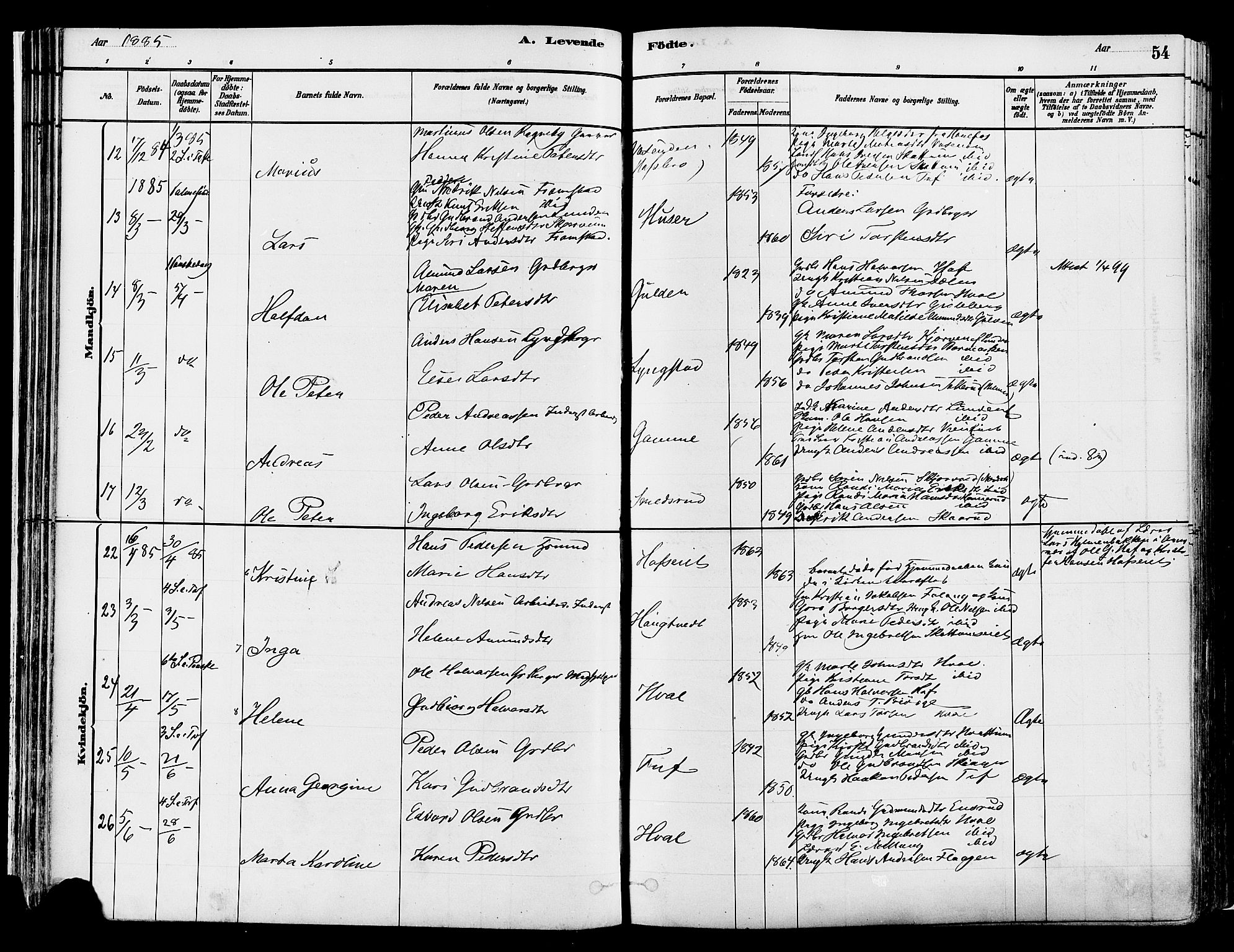 Gran prestekontor, AV/SAH-PREST-112/H/Ha/Haa/L0014: Ministerialbok nr. 14, 1880-1889, s. 54