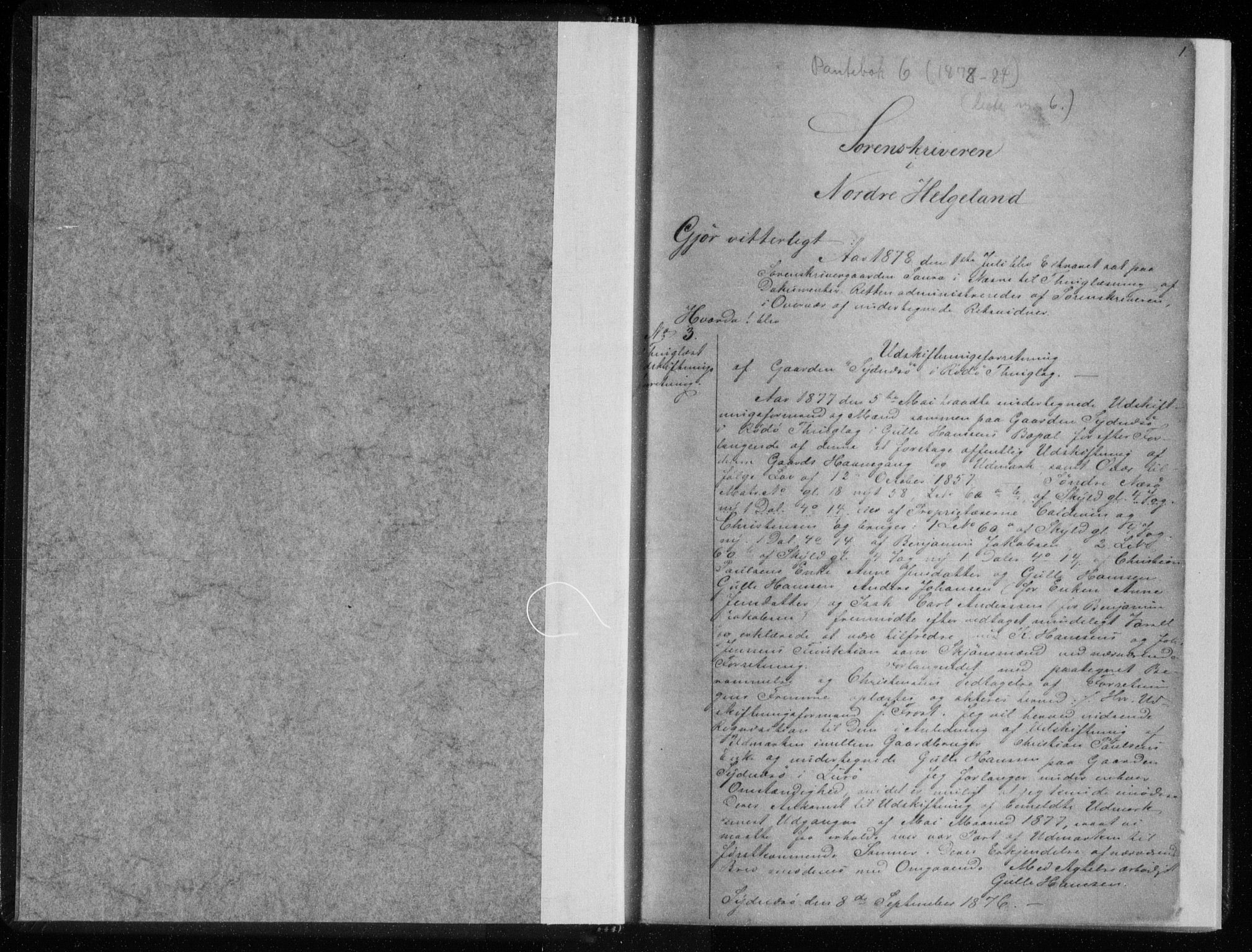 Rana sorenskriveri , SAT/A-1108/1/2/2C/L0006: Pantebok nr. 6, 1878-1884, s. 1