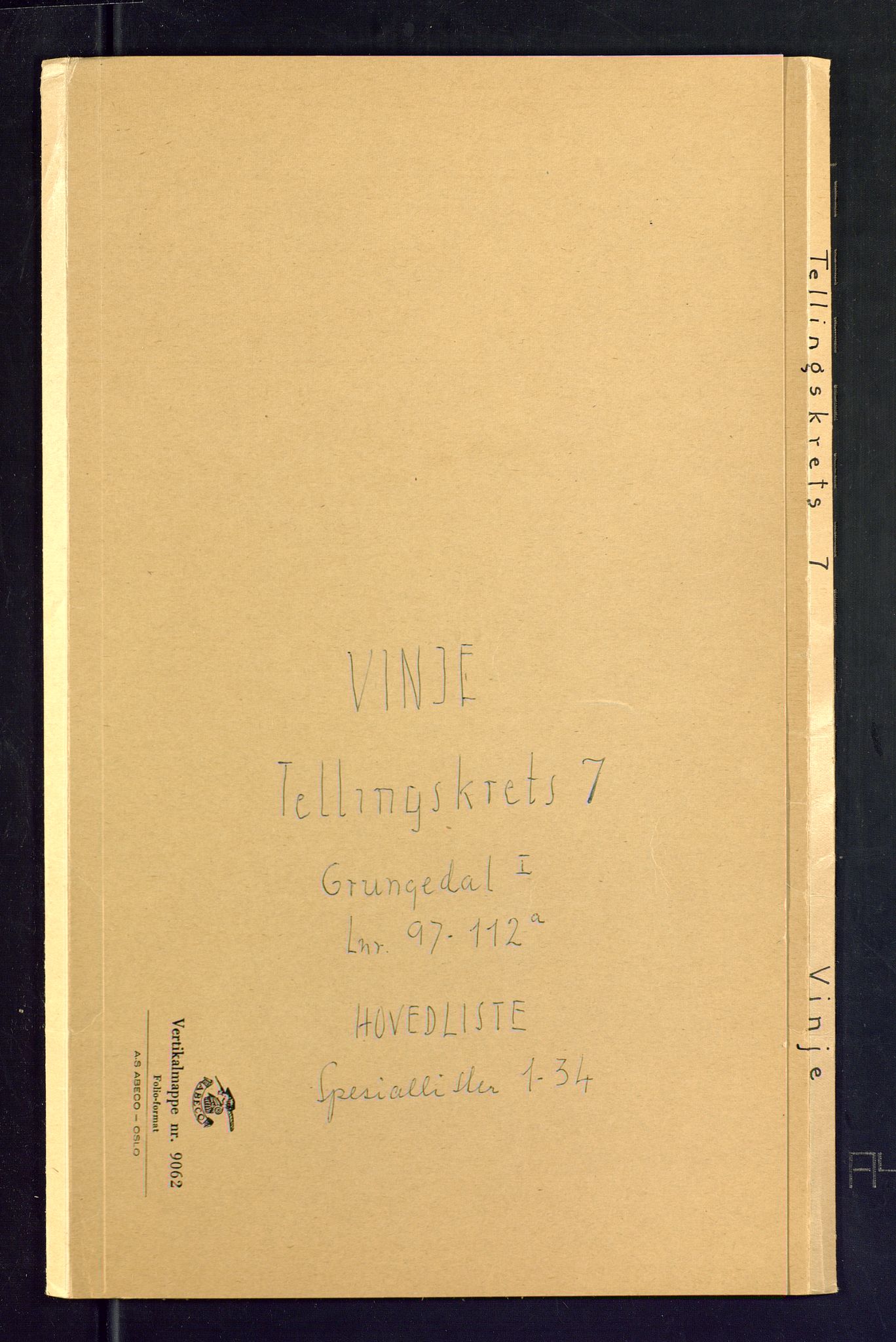 SAKO, Folketelling 1875 for 0834P Vinje prestegjeld, 1875, s. 25
