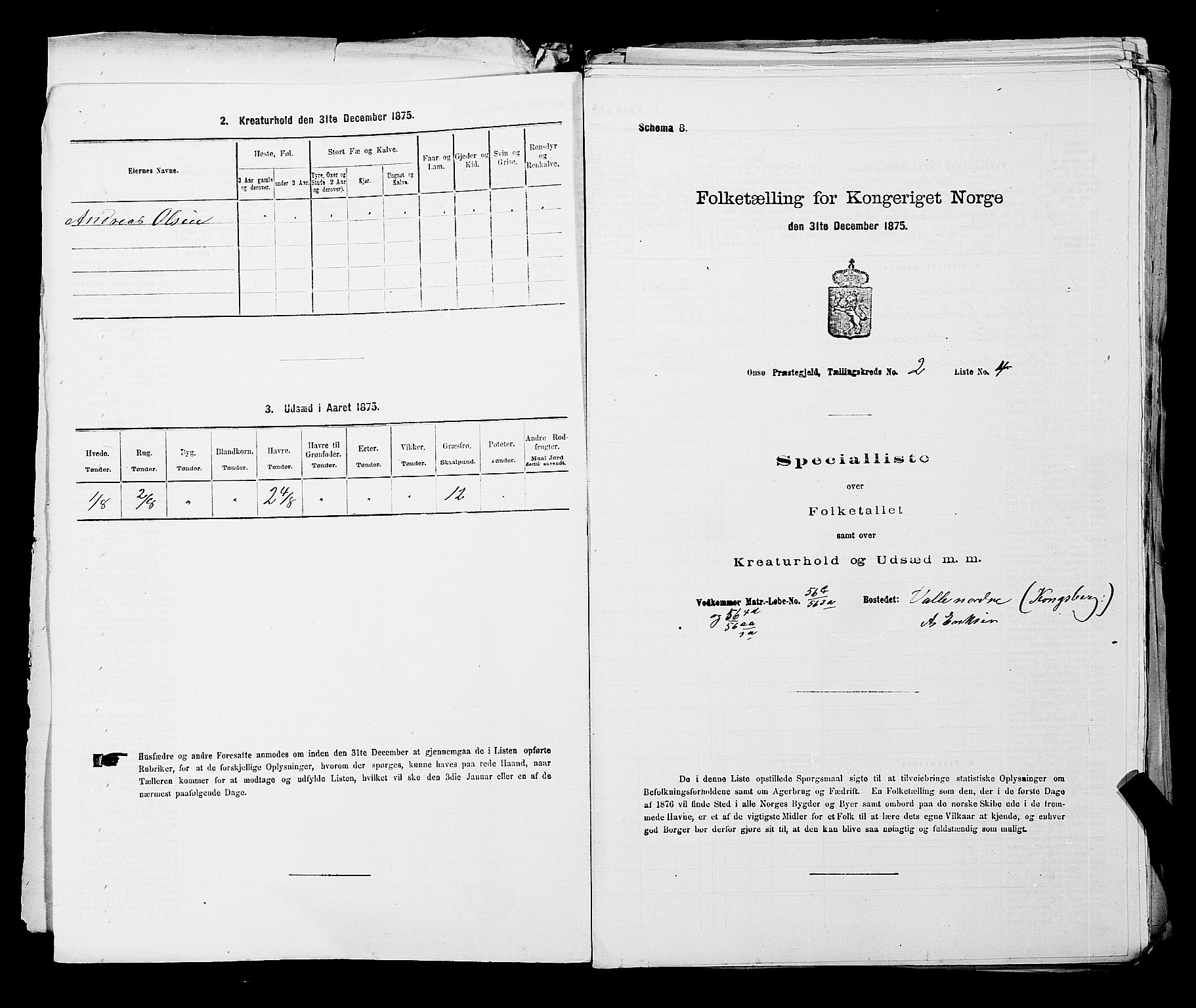 RA, Folketelling 1875 for 0134P Onsøy prestegjeld, 1875, s. 253