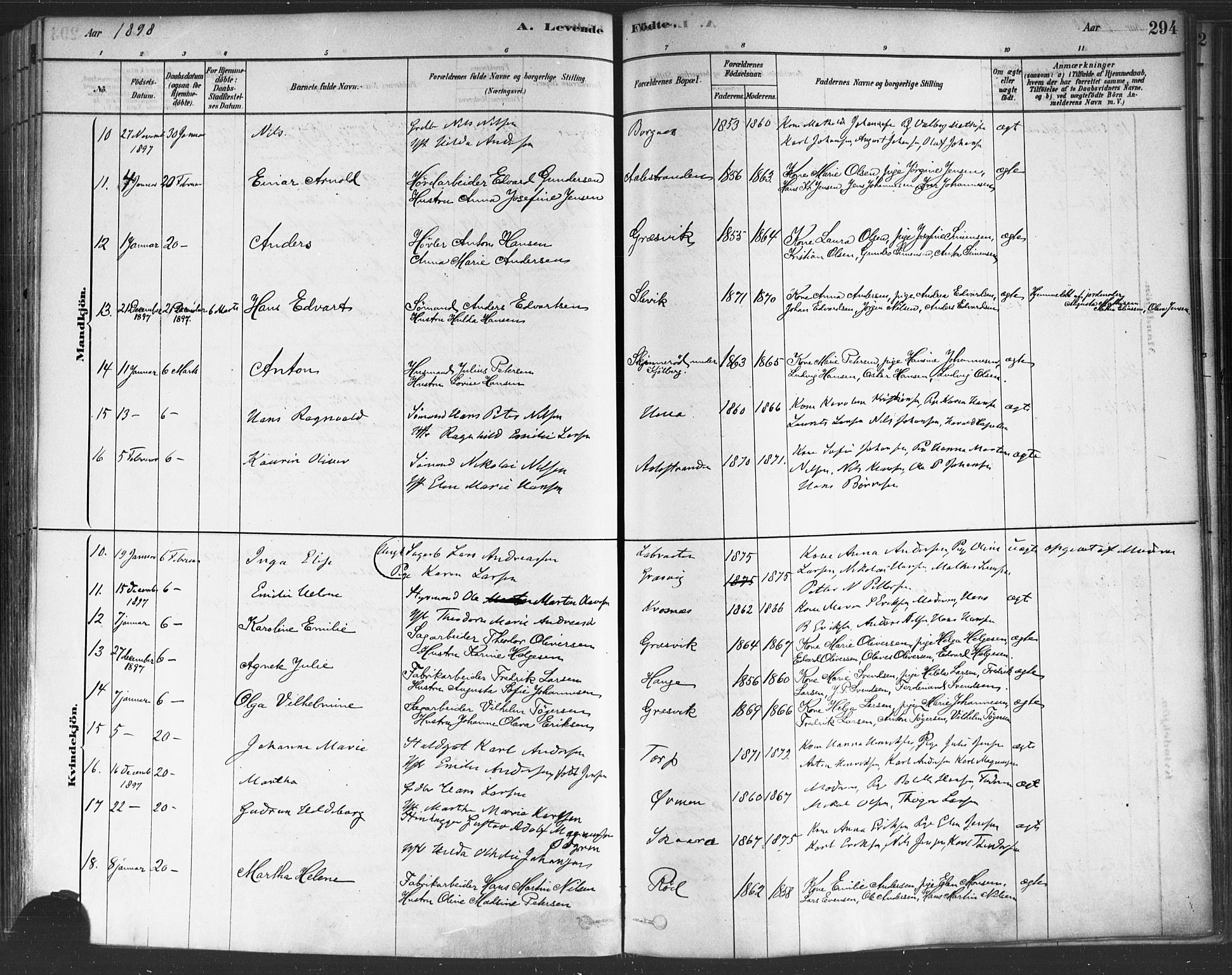 Onsøy prestekontor Kirkebøker, AV/SAO-A-10914/F/Fa/L0005: Ministerialbok nr. I 5, 1878-1898, s. 294