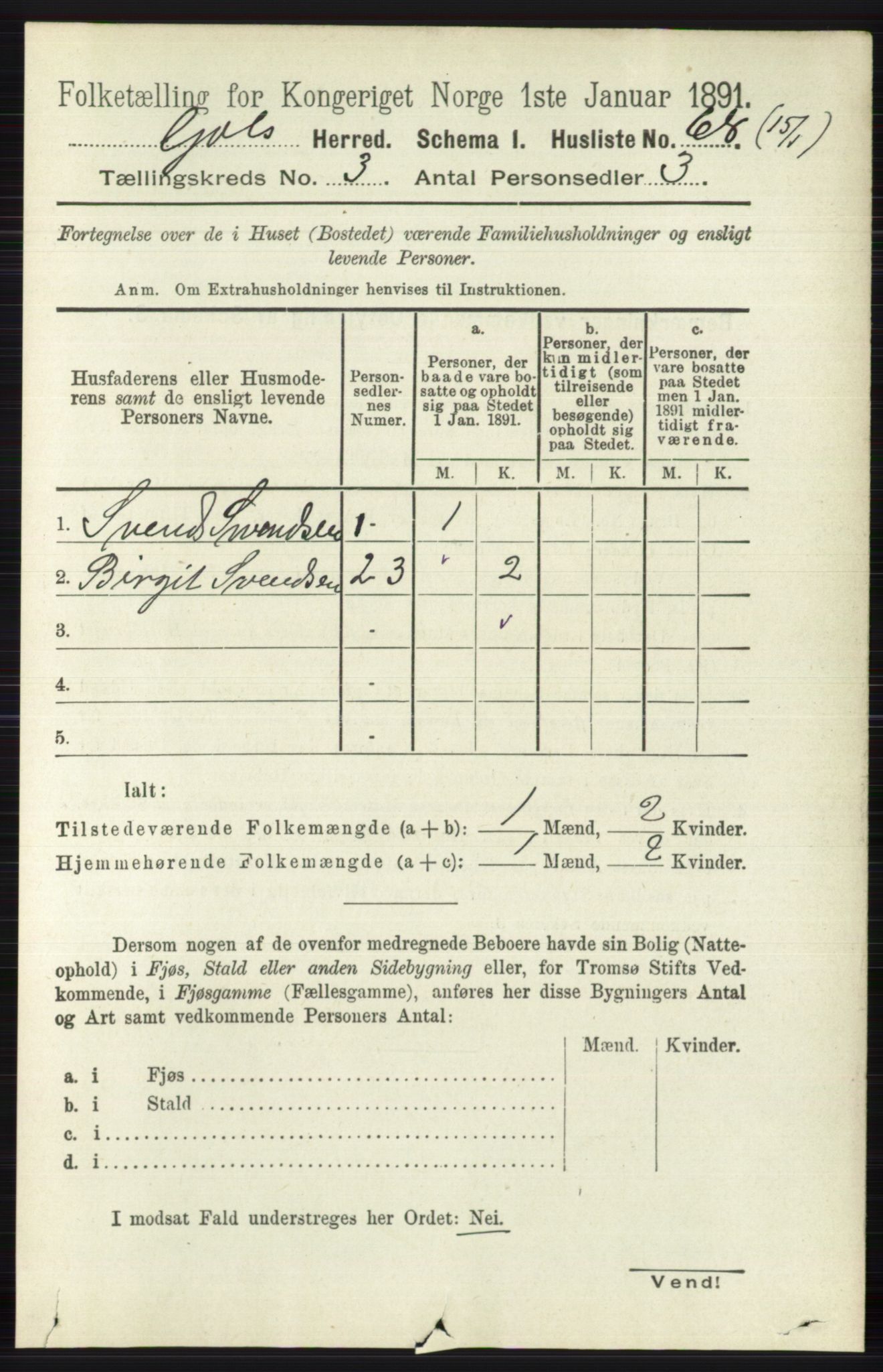 RA, Folketelling 1891 for 0617 Gol og Hemsedal herred, 1891, s. 1263