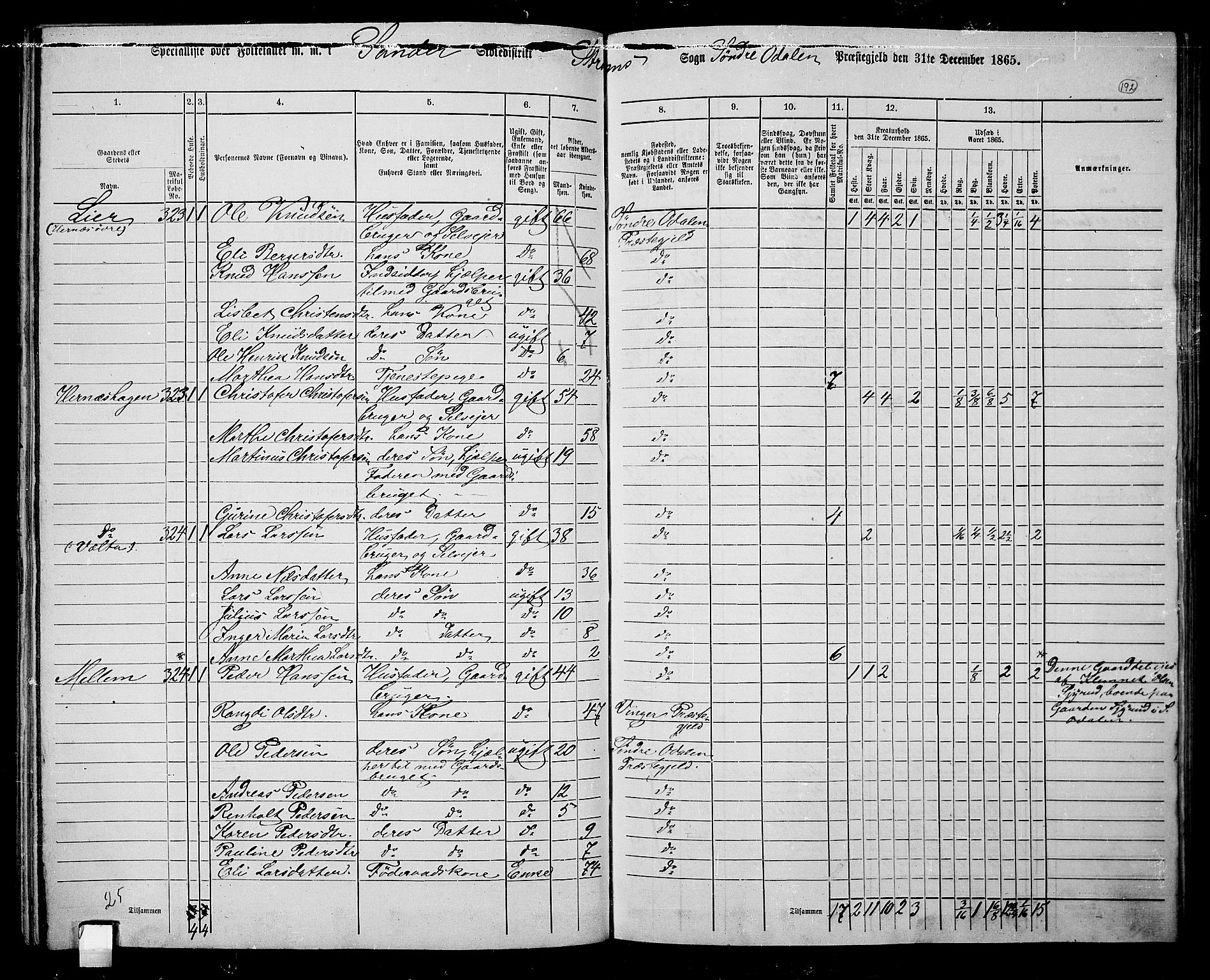 RA, Folketelling 1865 for 0419P Sør-Odal prestegjeld, 1865, s. 172