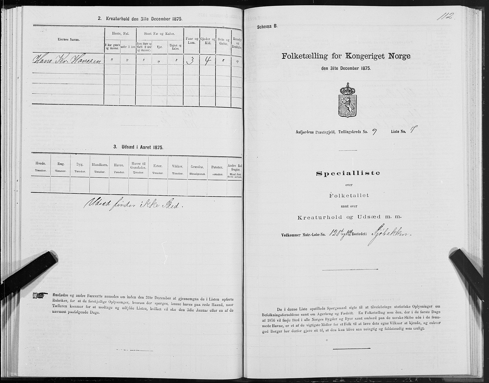 SAT, Folketelling 1875 for 1630P Aafjorden prestegjeld, 1875, s. 4112