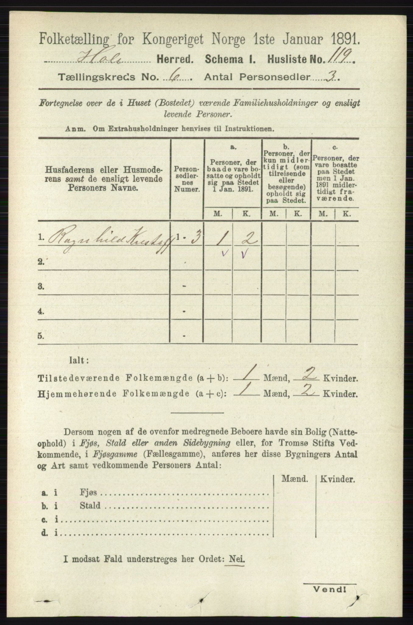 RA, Folketelling 1891 for 0612 Hole herred, 1891, s. 3096