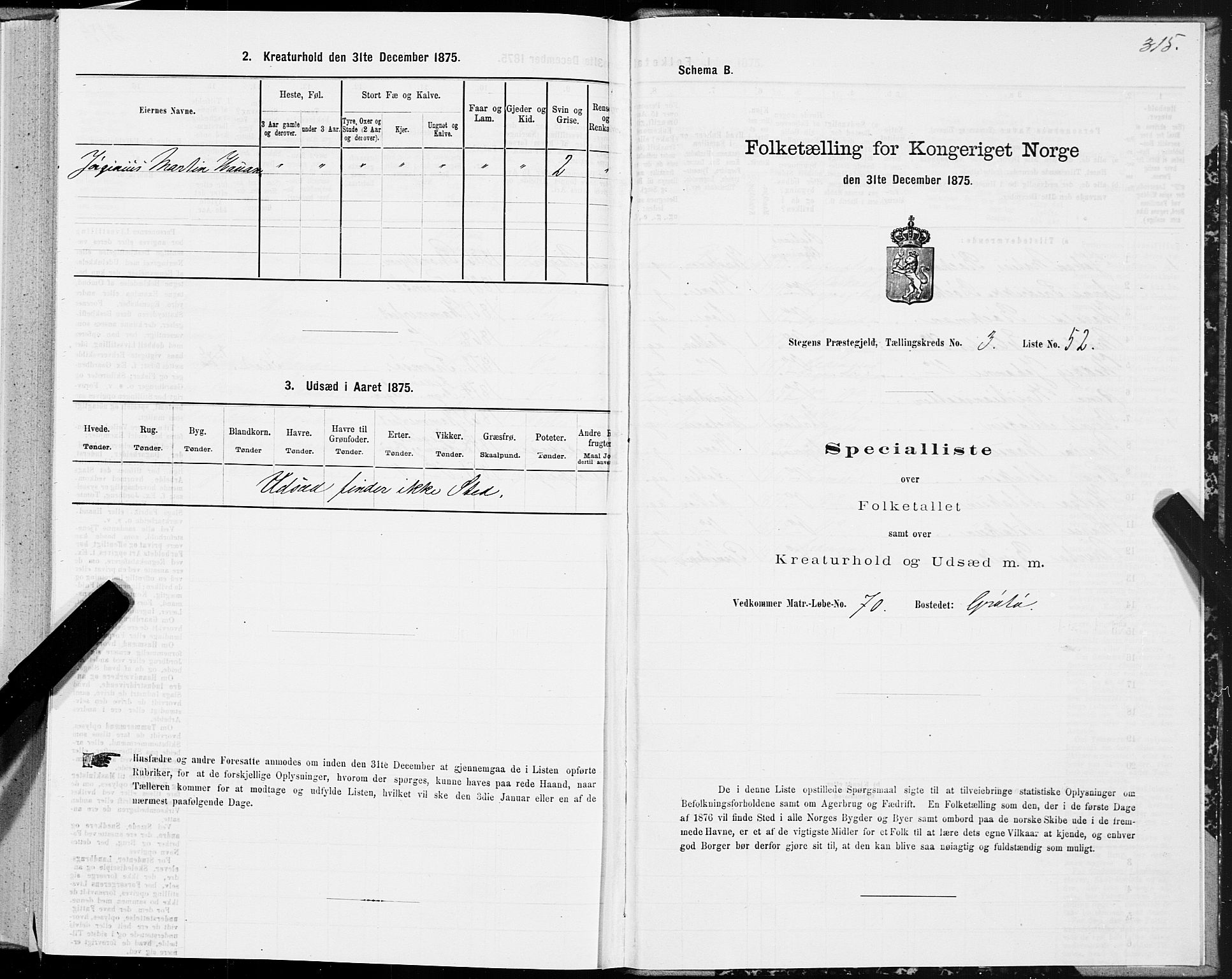 SAT, Folketelling 1875 for 1848P Steigen prestegjeld, 1875, s. 1315