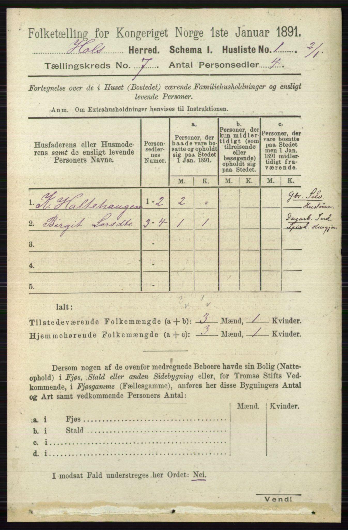 RA, Folketelling 1891 for 0620 Hol herred, 1891, s. 1976