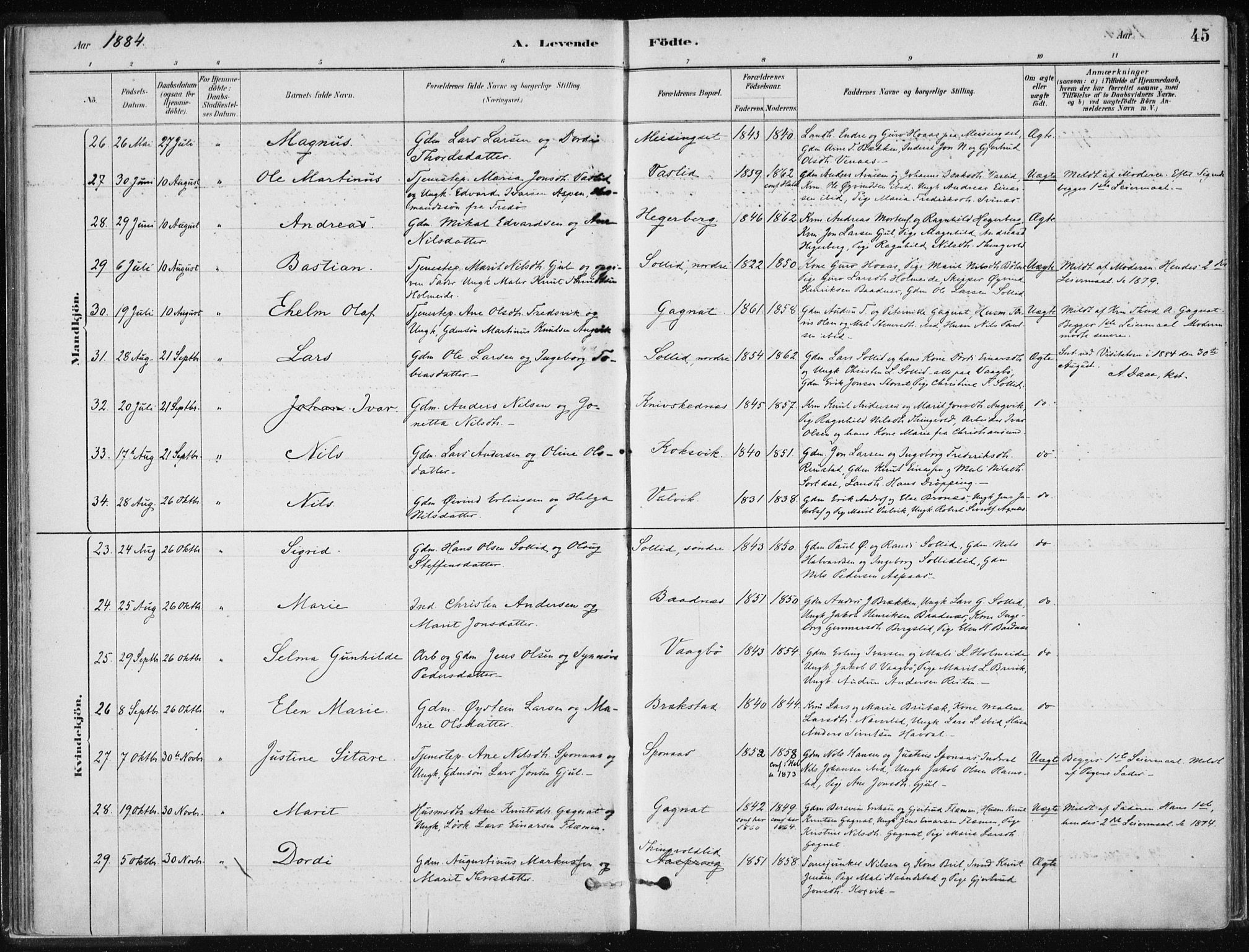 Ministerialprotokoller, klokkerbøker og fødselsregistre - Møre og Romsdal, SAT/A-1454/586/L0987: Ministerialbok nr. 586A13, 1879-1892, s. 45