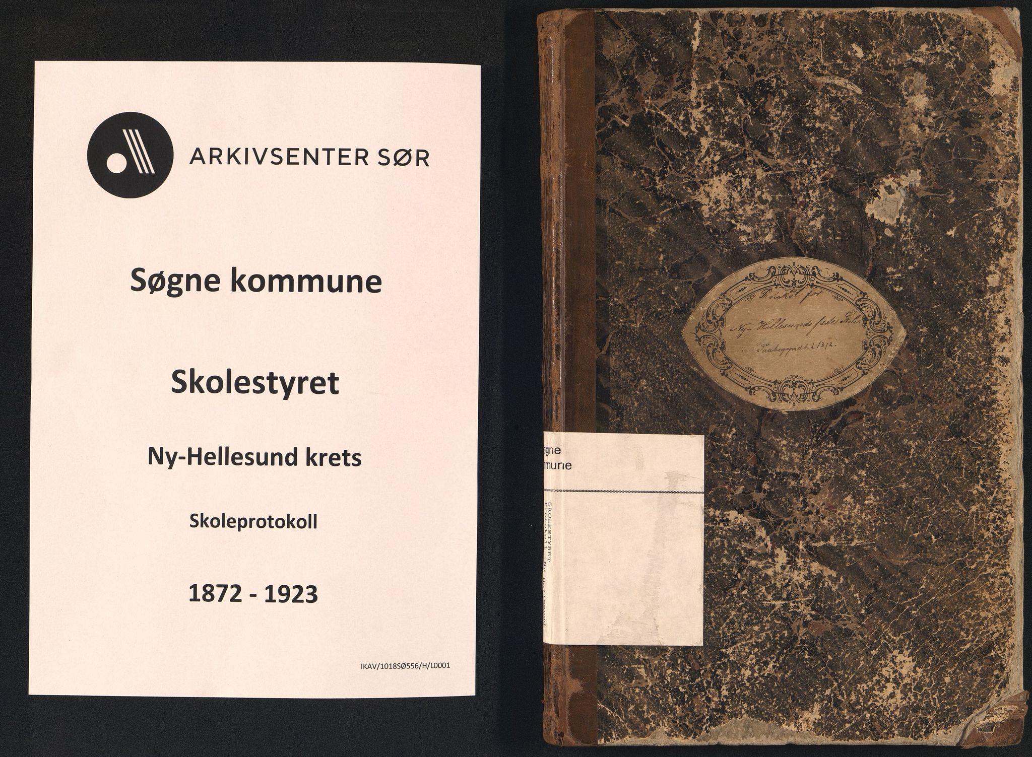 Søgne kommune - Ny Hellesund Krets, IKAV/1018SØ556/H/L0001: Skoleprotokoll (d), 1872-1923