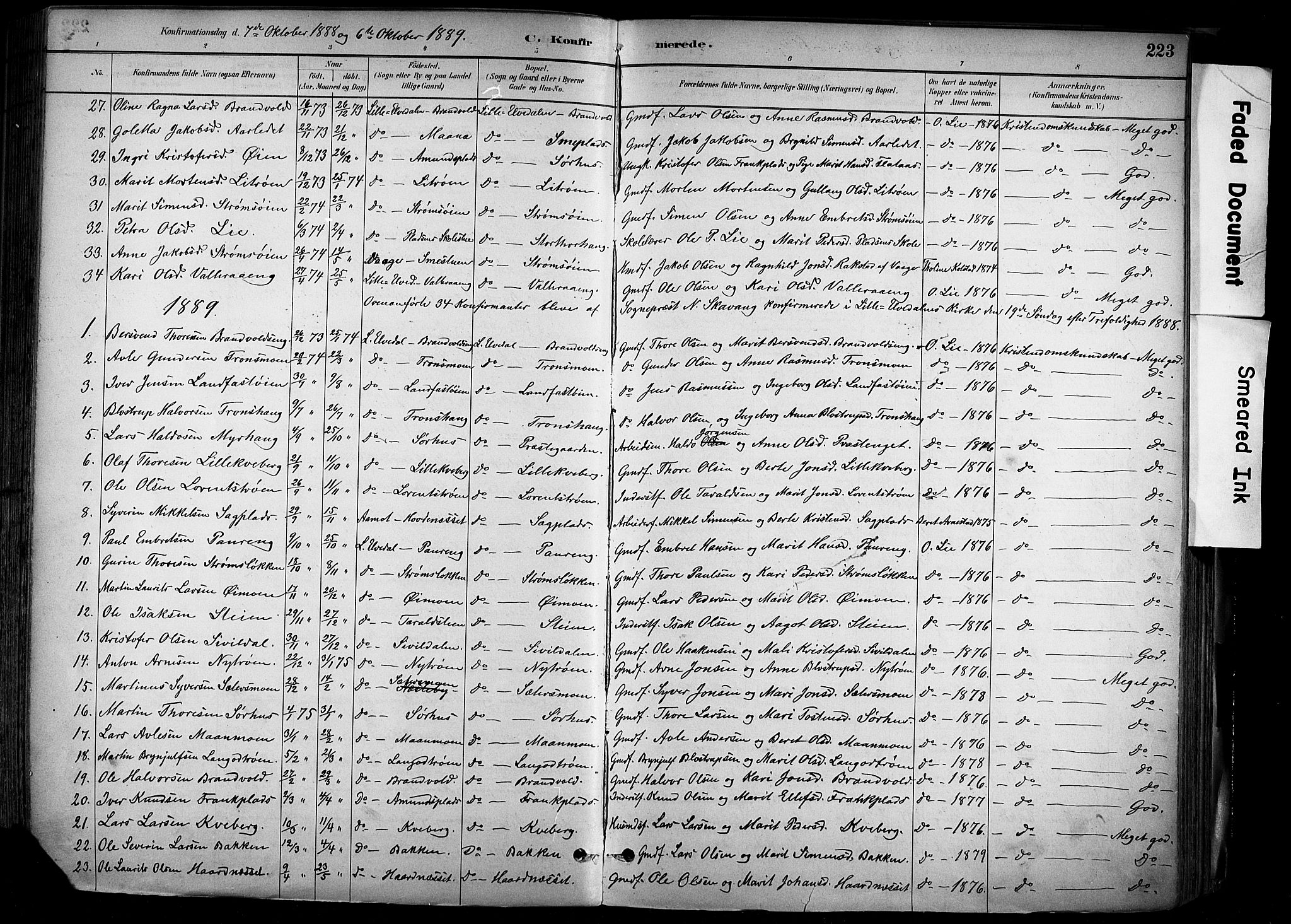 Alvdal prestekontor, AV/SAH-PREST-060/H/Ha/Haa/L0002: Ministerialbok nr. 2, 1883-1906, s. 223