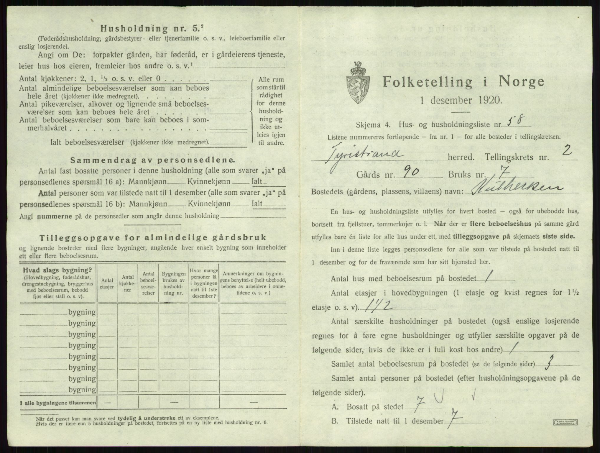 SAKO, Folketelling 1920 for 0611 Tyristrand herred, 1920, s. 246