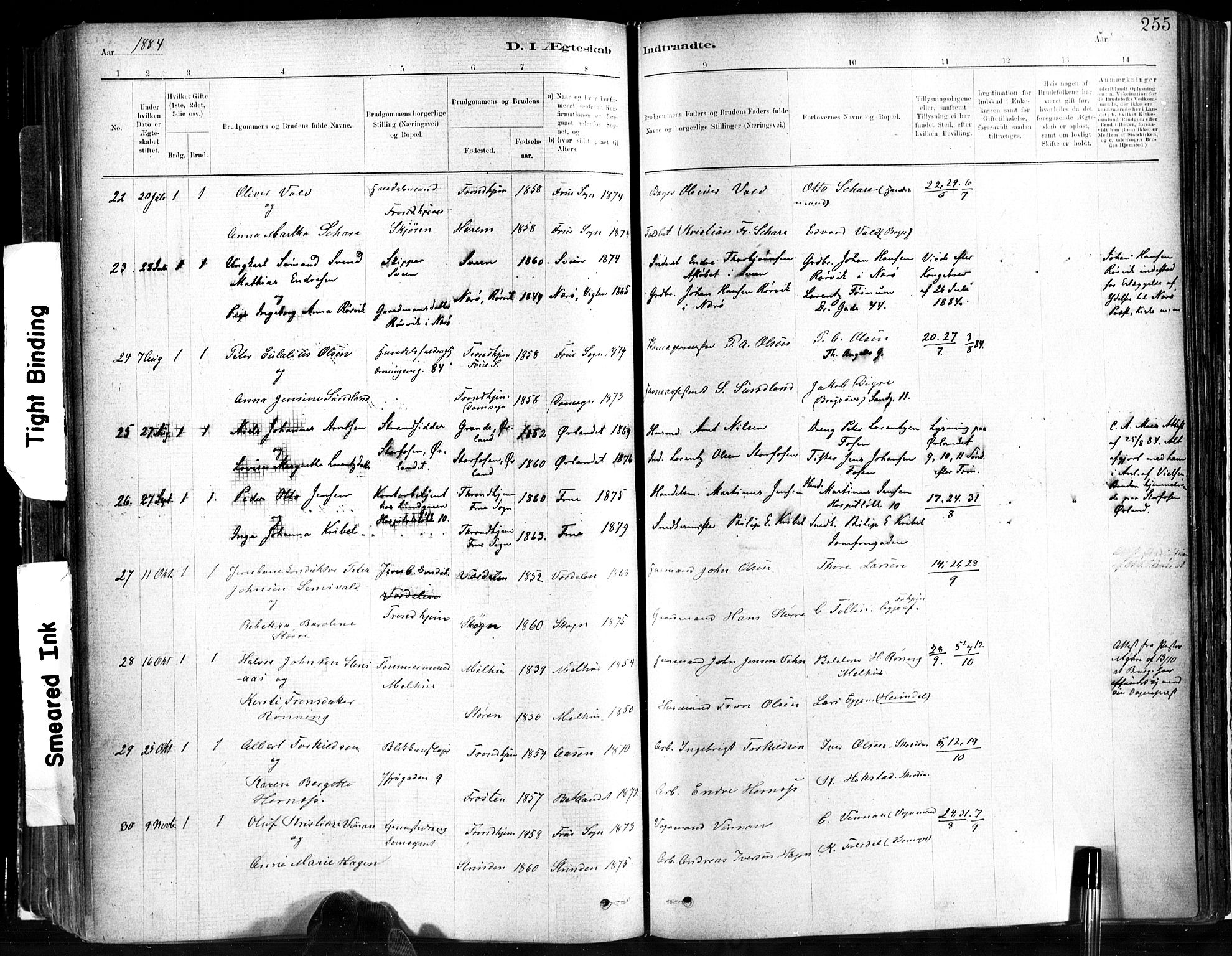 Ministerialprotokoller, klokkerbøker og fødselsregistre - Sør-Trøndelag, SAT/A-1456/602/L0119: Ministerialbok nr. 602A17, 1880-1901, s. 255