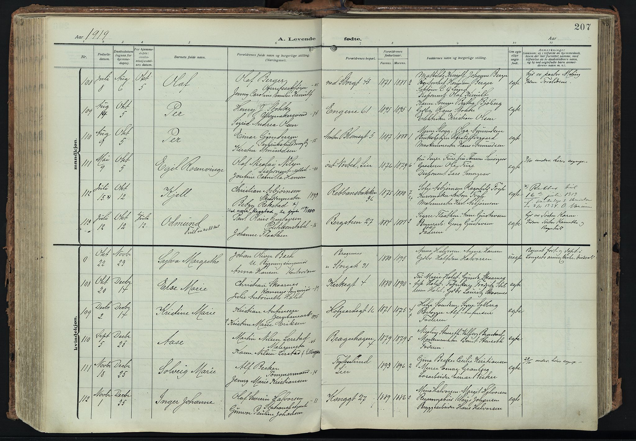 Bragernes kirkebøker, AV/SAKO-A-6/F/Fb/L0010: Ministerialbok nr. II 10, 1911-1922, s. 207
