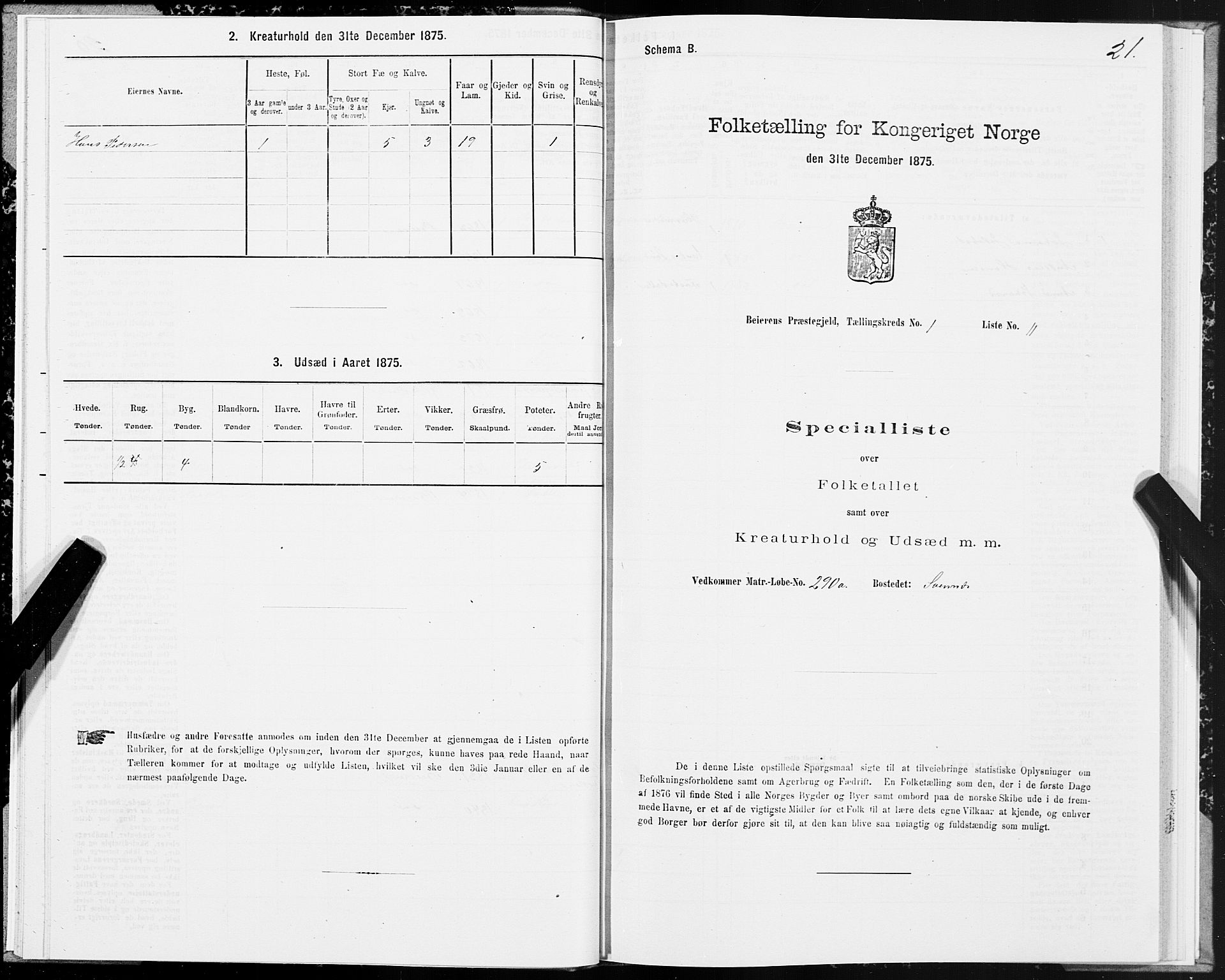 SAT, Folketelling 1875 for 1839P Beiarn prestegjeld, 1875, s. 1021