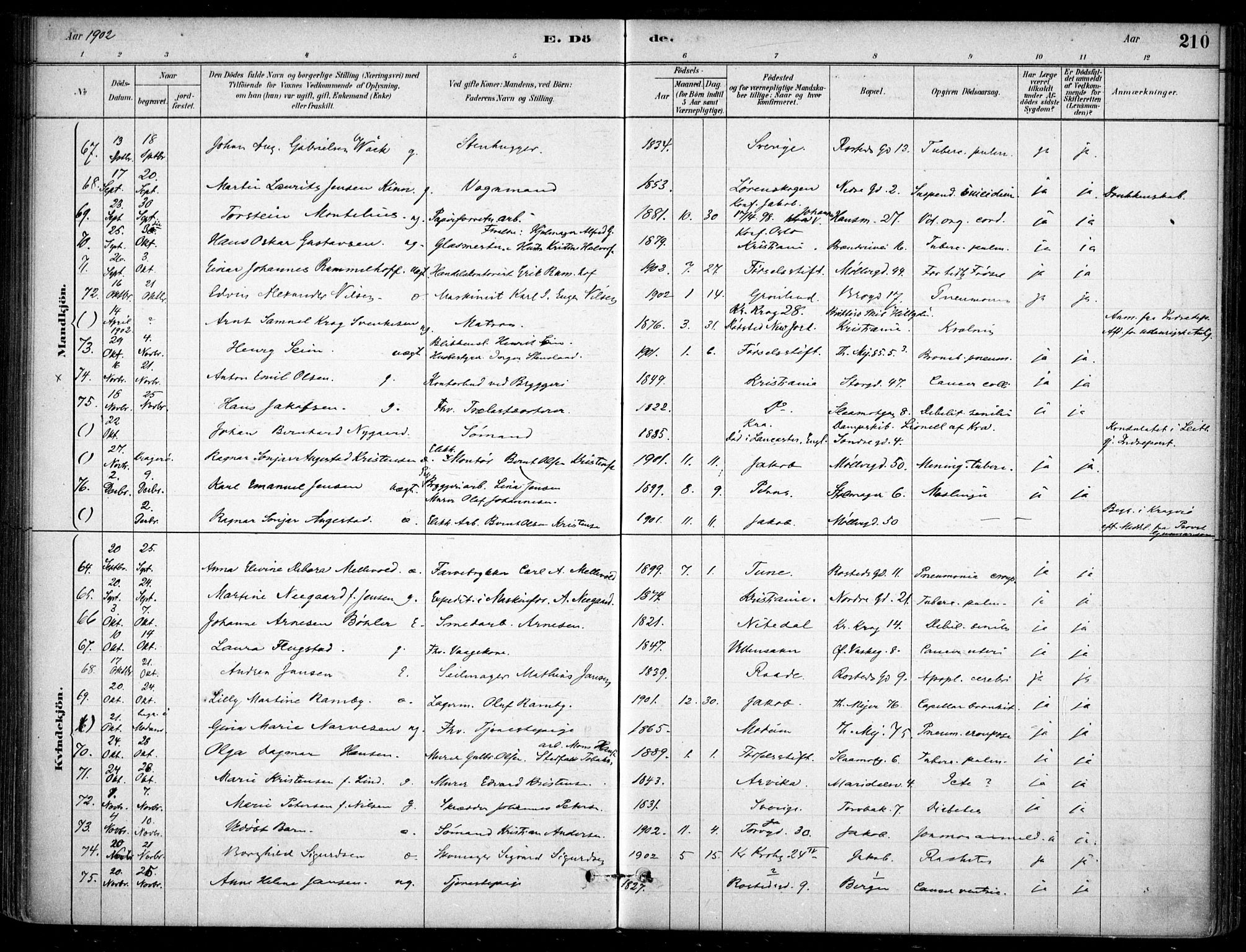 Jakob prestekontor Kirkebøker, AV/SAO-A-10850/F/Fa/L0007: Ministerialbok nr. 7, 1880-1905, s. 210