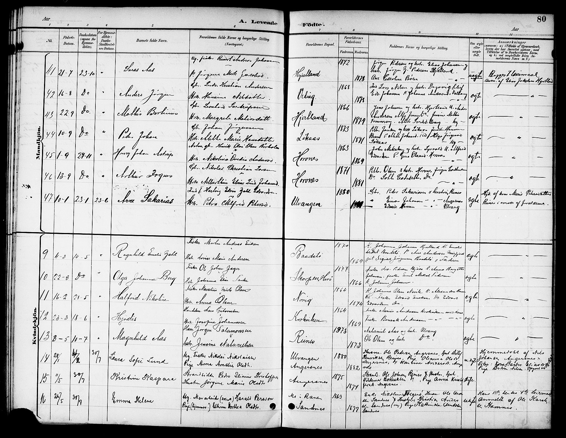 Ministerialprotokoller, klokkerbøker og fødselsregistre - Nordland, AV/SAT-A-1459/831/L0478: Klokkerbok nr. 831C05, 1892-1909, s. 80