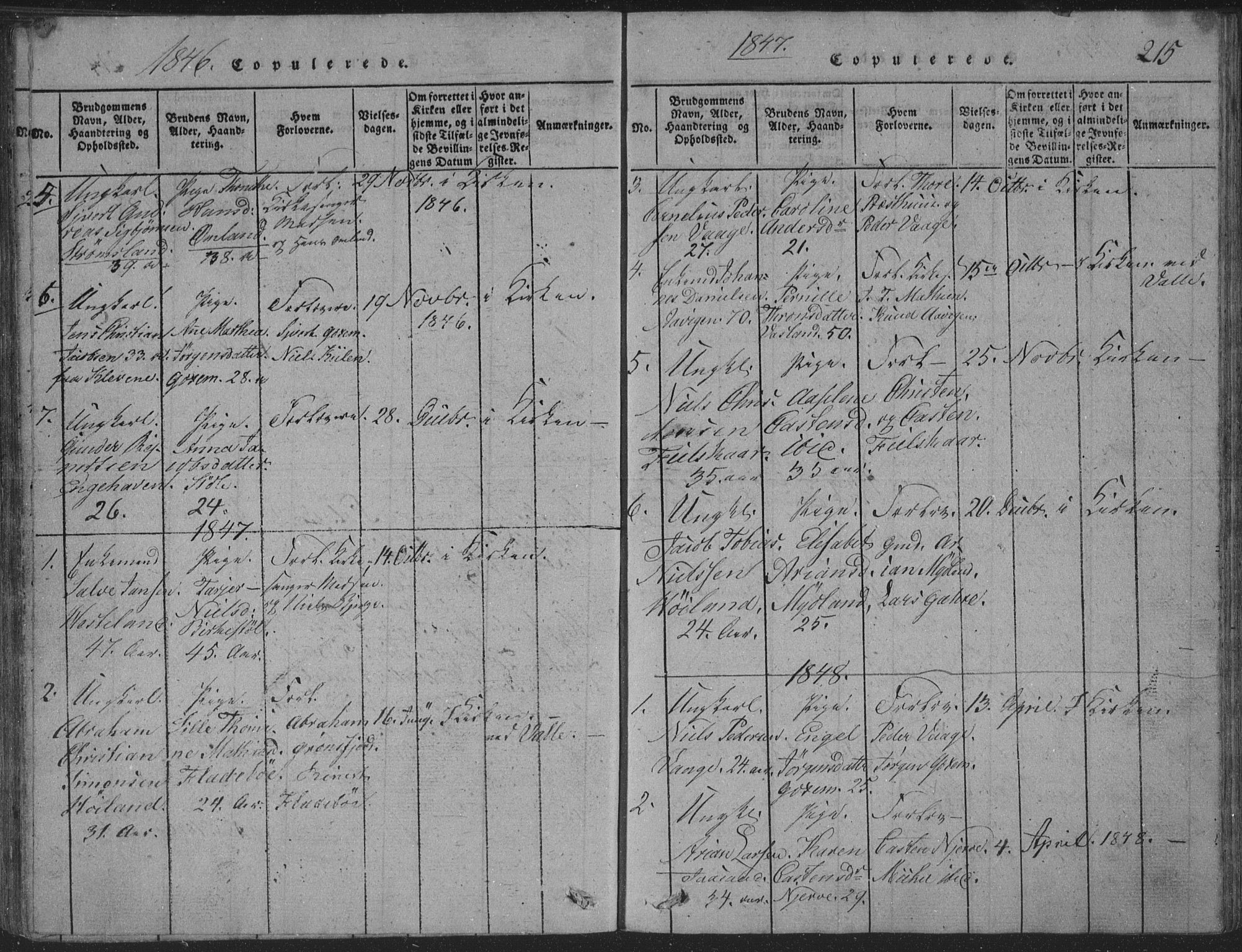 Sør-Audnedal sokneprestkontor, AV/SAK-1111-0039/F/Fb/Fba/L0001: Klokkerbok nr. B 1, 1815-1850, s. 215