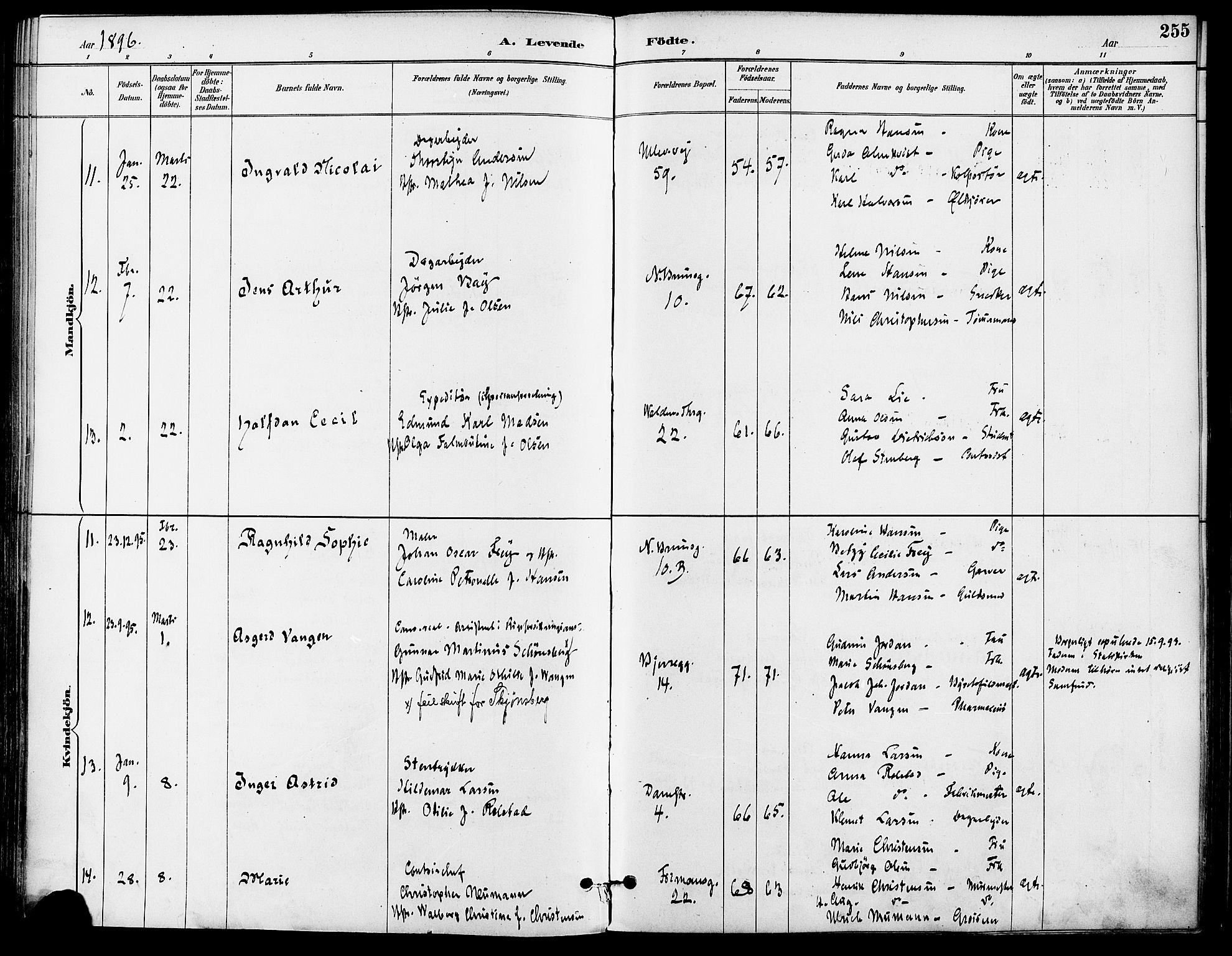 Gamle Aker prestekontor Kirkebøker, AV/SAO-A-10617a/F/L0008: Ministerialbok nr. 8, 1887-1896, s. 255