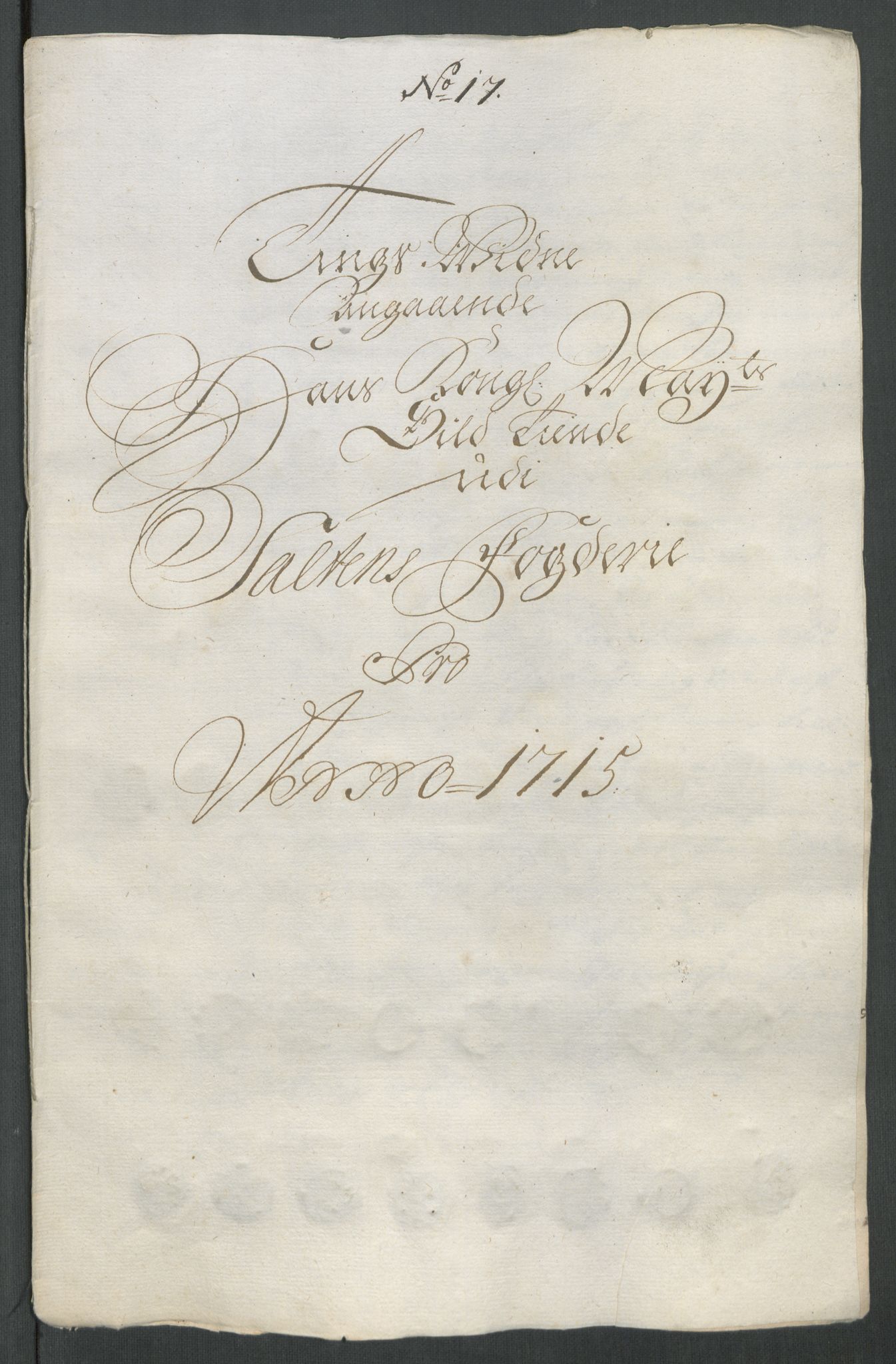 Rentekammeret inntil 1814, Reviderte regnskaper, Fogderegnskap, AV/RA-EA-4092/R66/L4586: Fogderegnskap Salten, 1716, s. 193