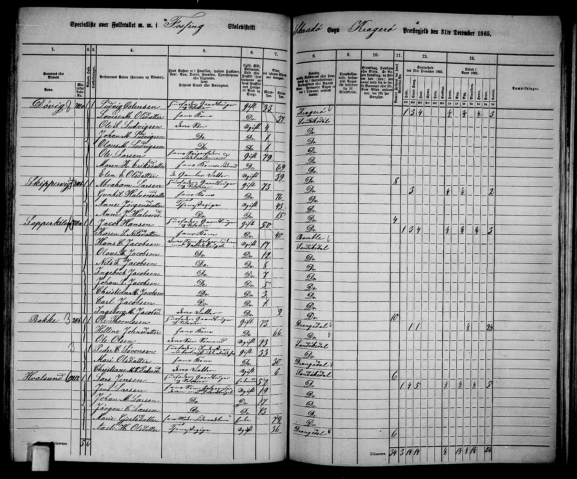 RA, Folketelling 1865 for 0816L Kragerø prestegjeld, Sannidal sokn og Skåtøy sokn, 1865, s. 159