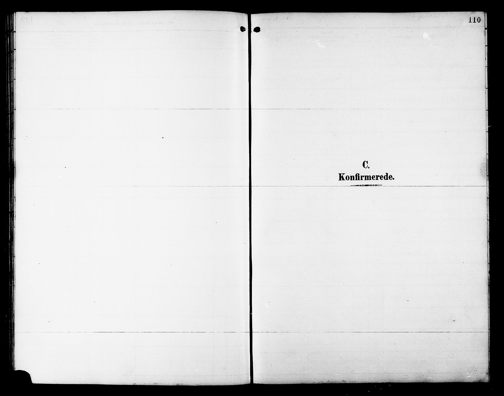 Skjervøy sokneprestkontor, AV/SATØ-S-1300/H/Ha/Hab/L0021klokker: Klokkerbok nr. 21, 1893-1910, s. 110