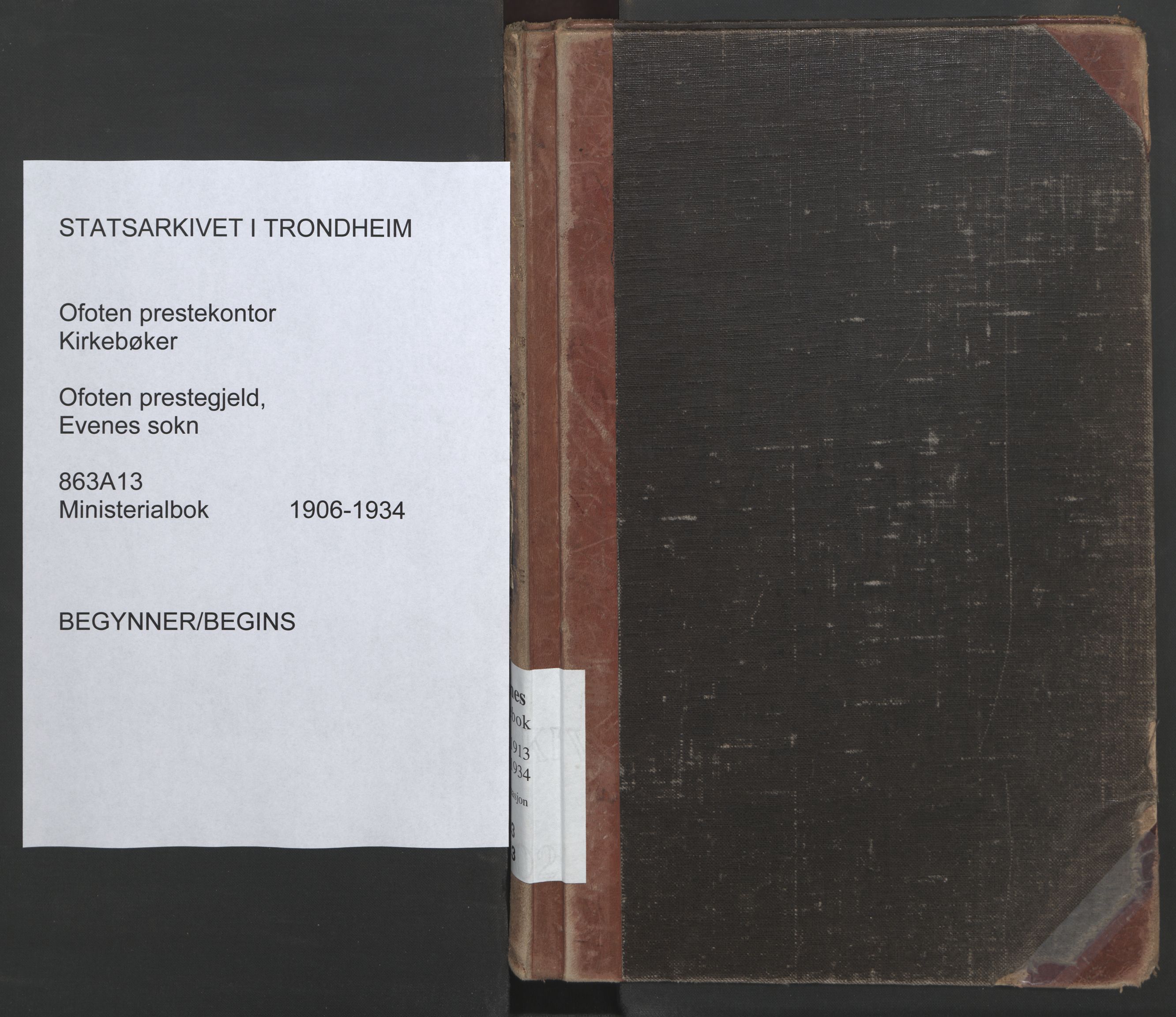Ministerialprotokoller, klokkerbøker og fødselsregistre - Nordland, SAT/A-1459/863/L0901: Ministerialbok nr. 863A13, 1906-1934