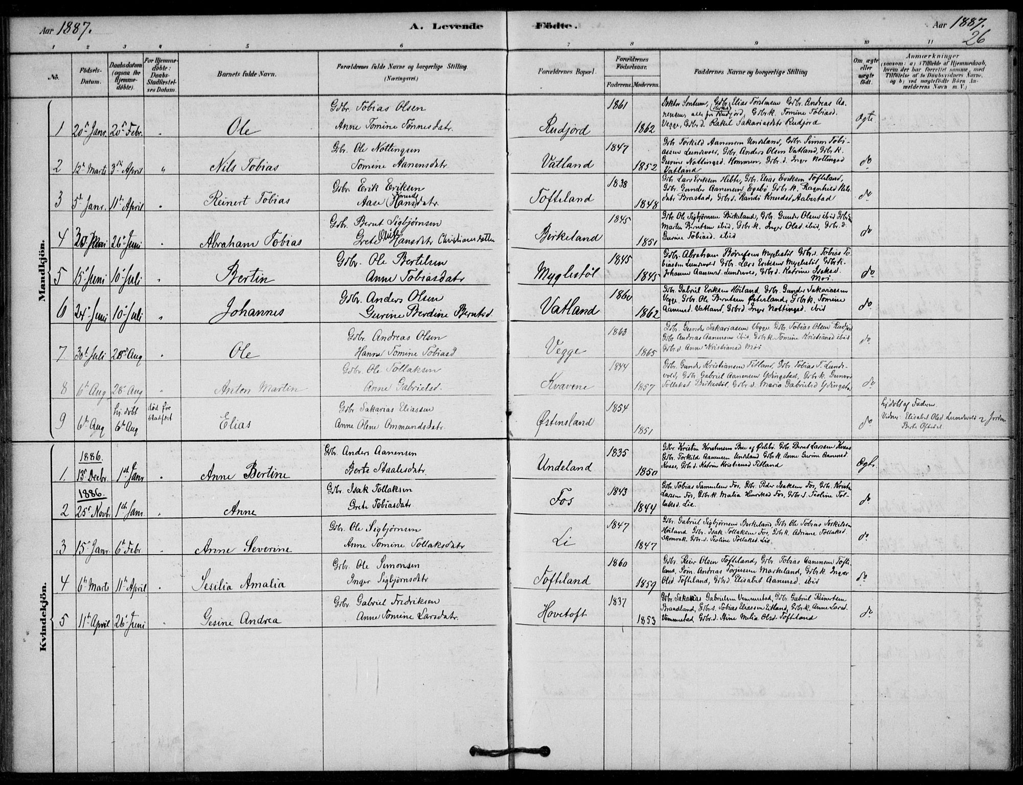 Lyngdal sokneprestkontor, AV/SAK-1111-0029/F/Fa/Fab/L0003: Ministerialbok nr. A 3, 1878-1903, s. 26