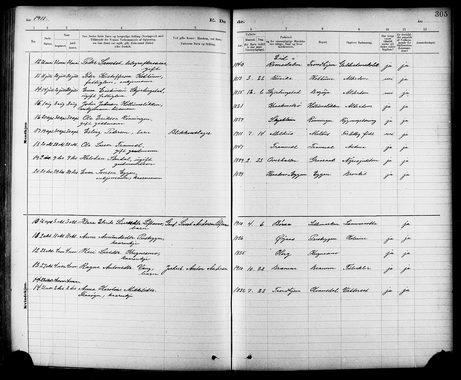 Ministerialprotokoller, klokkerbøker og fødselsregistre - Sør-Trøndelag, SAT/A-1456/691/L1094: Klokkerbok nr. 691C05, 1879-1911, s. 305