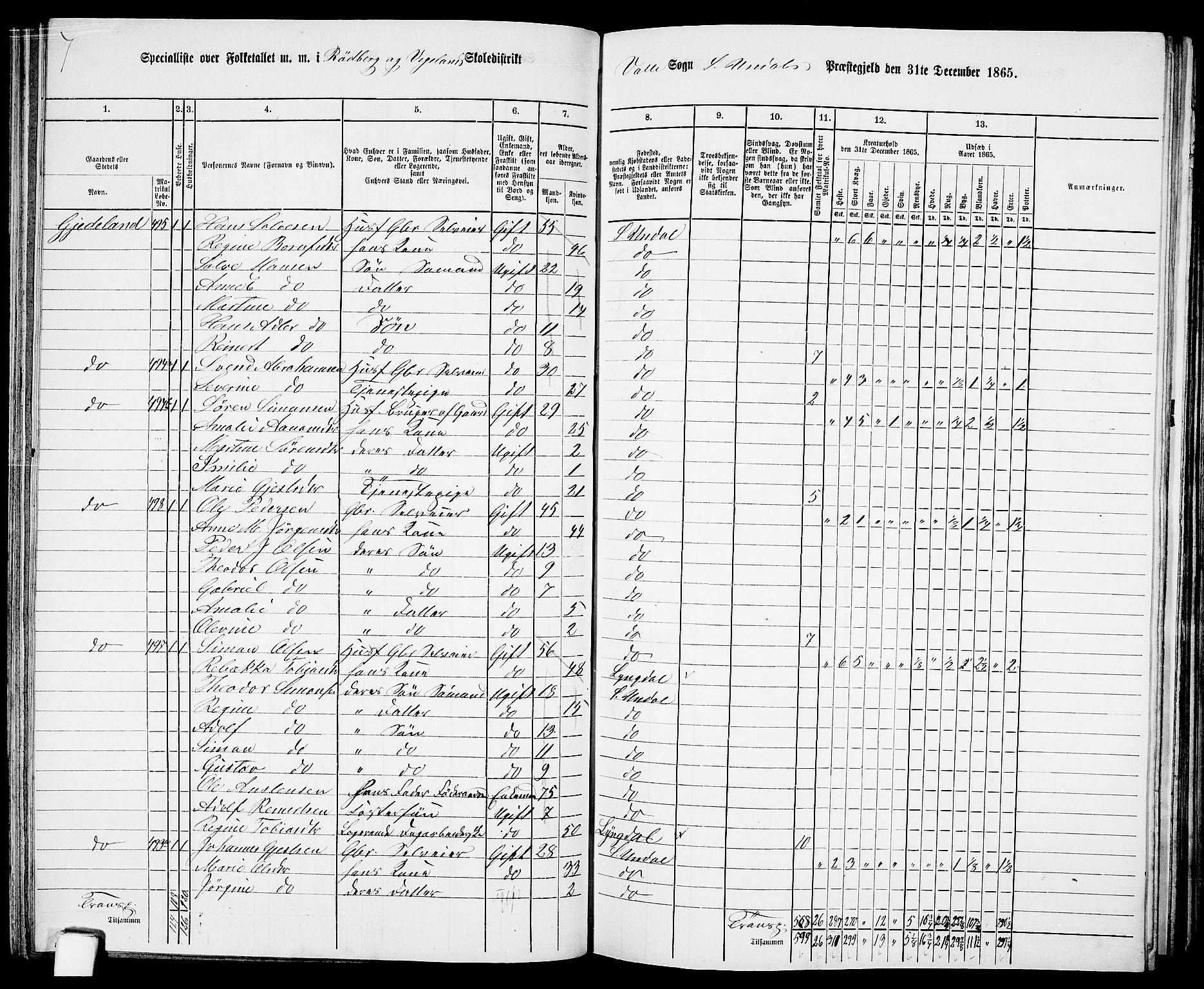 RA, Folketelling 1865 for 1029P Sør-Audnedal prestegjeld, 1865, s. 100