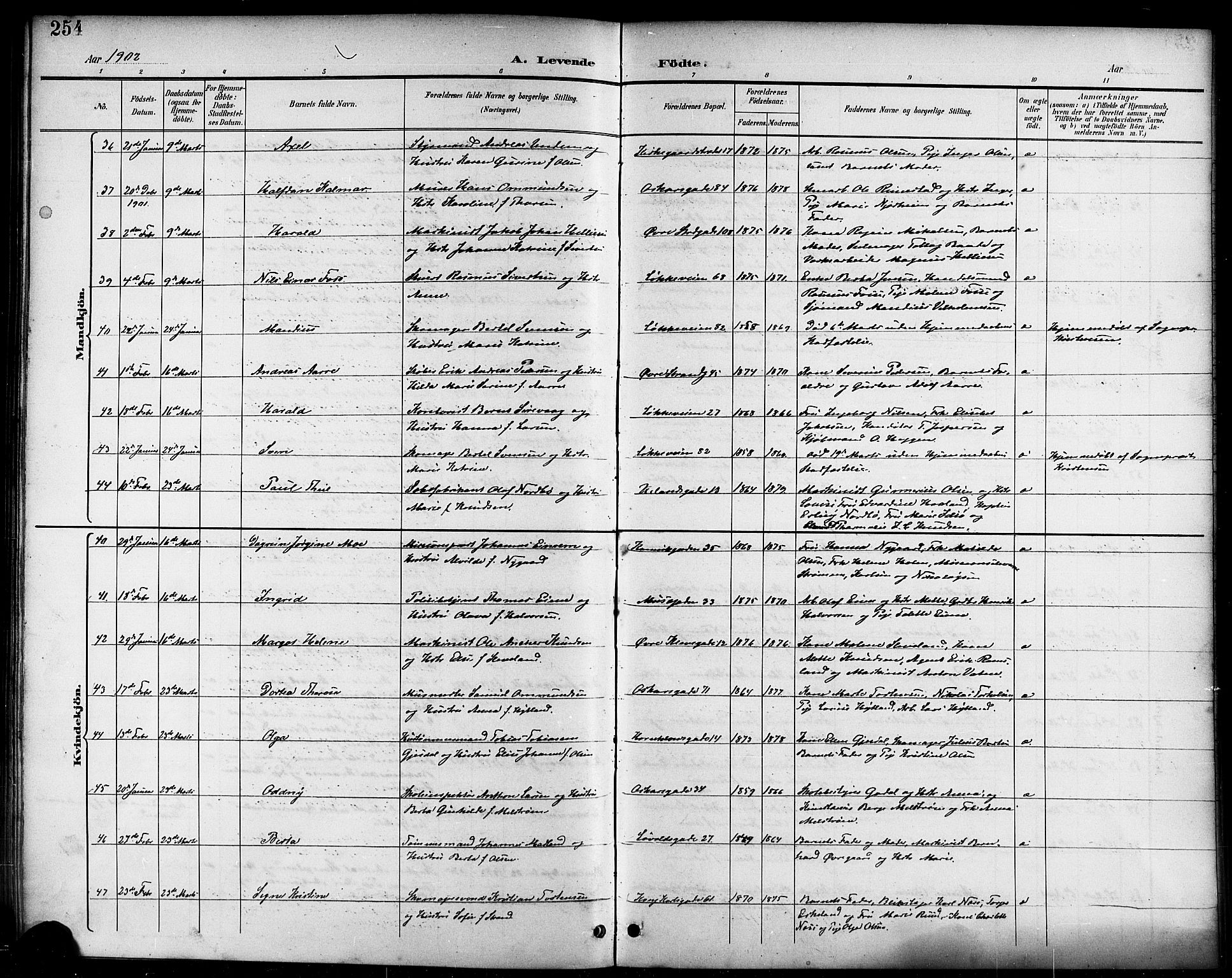 Domkirken sokneprestkontor, AV/SAST-A-101812/001/30/30BB/L0016: Klokkerbok nr. B 16, 1891-1902, s. 254