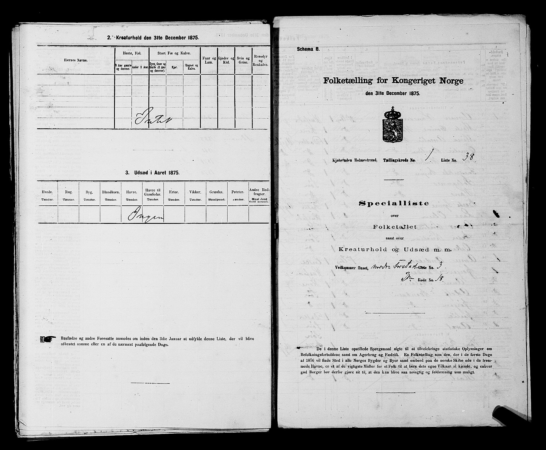 SAKO, Folketelling 1875 for 0702P Holmestrand prestegjeld, 1875, s. 67