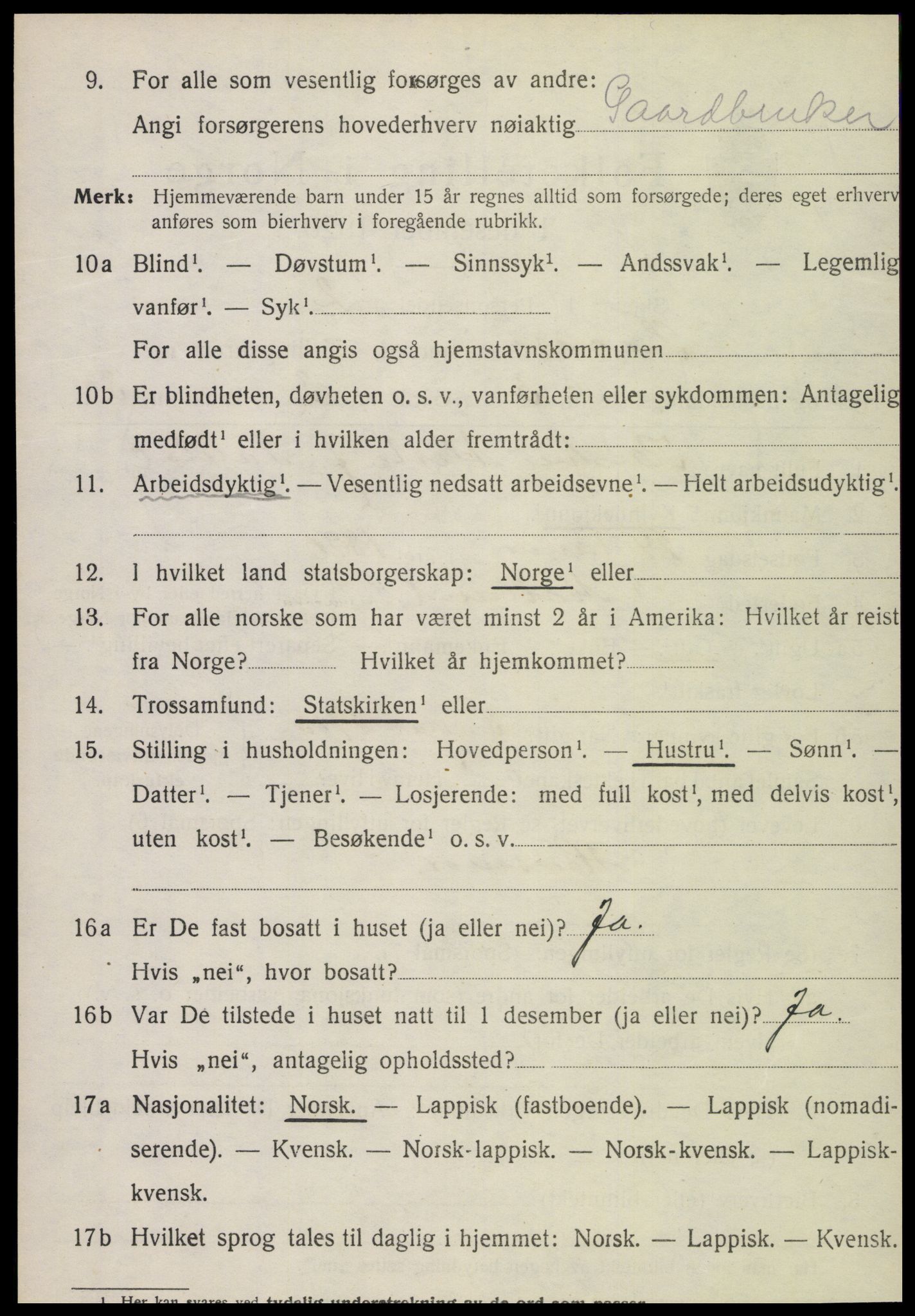SAT, Folketelling 1920 for 1736 Snåsa herred, 1920, s. 1215
