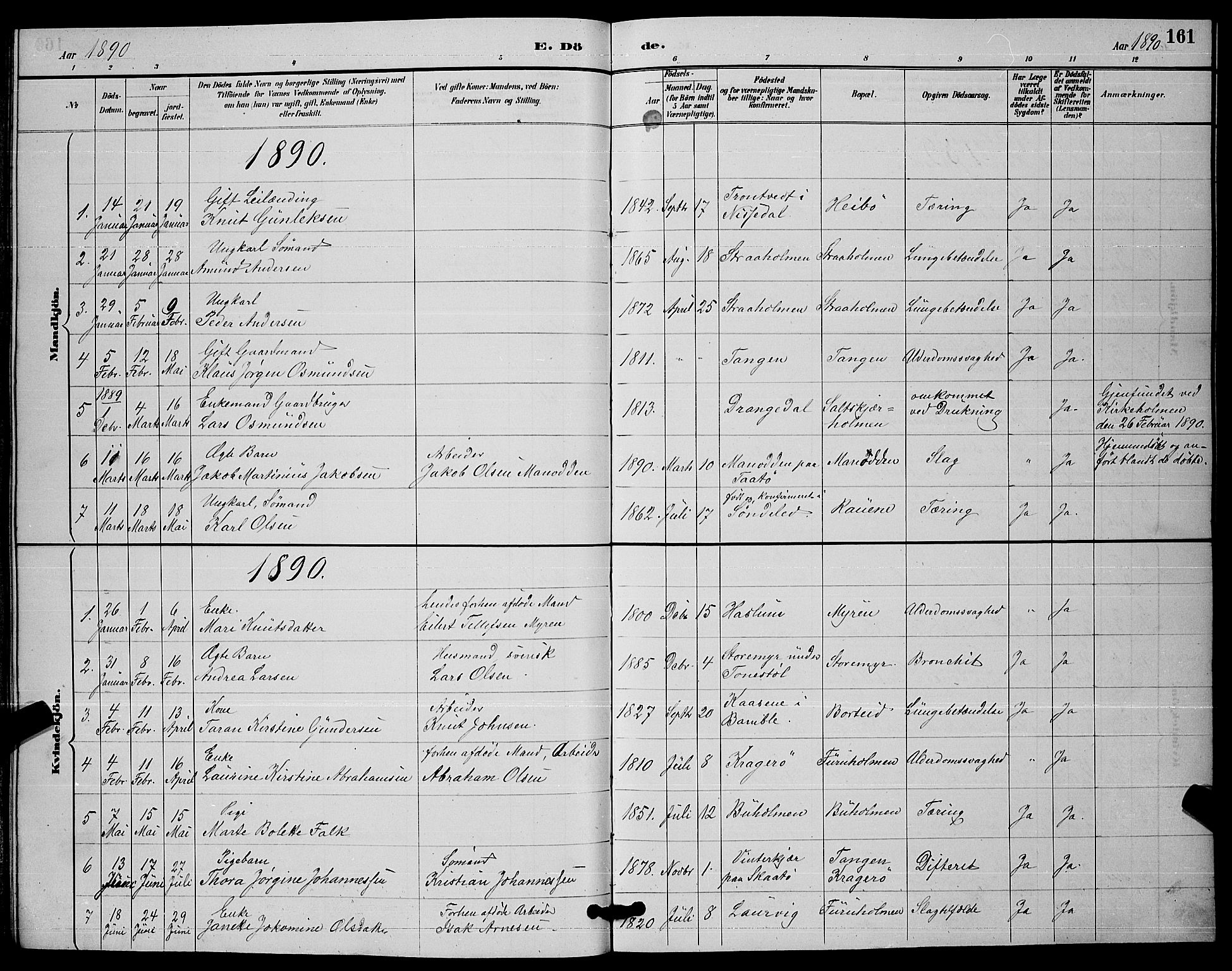 Skåtøy kirkebøker, AV/SAKO-A-304/G/Ga/L0003: Klokkerbok nr. I 3, 1884-1898, s. 161
