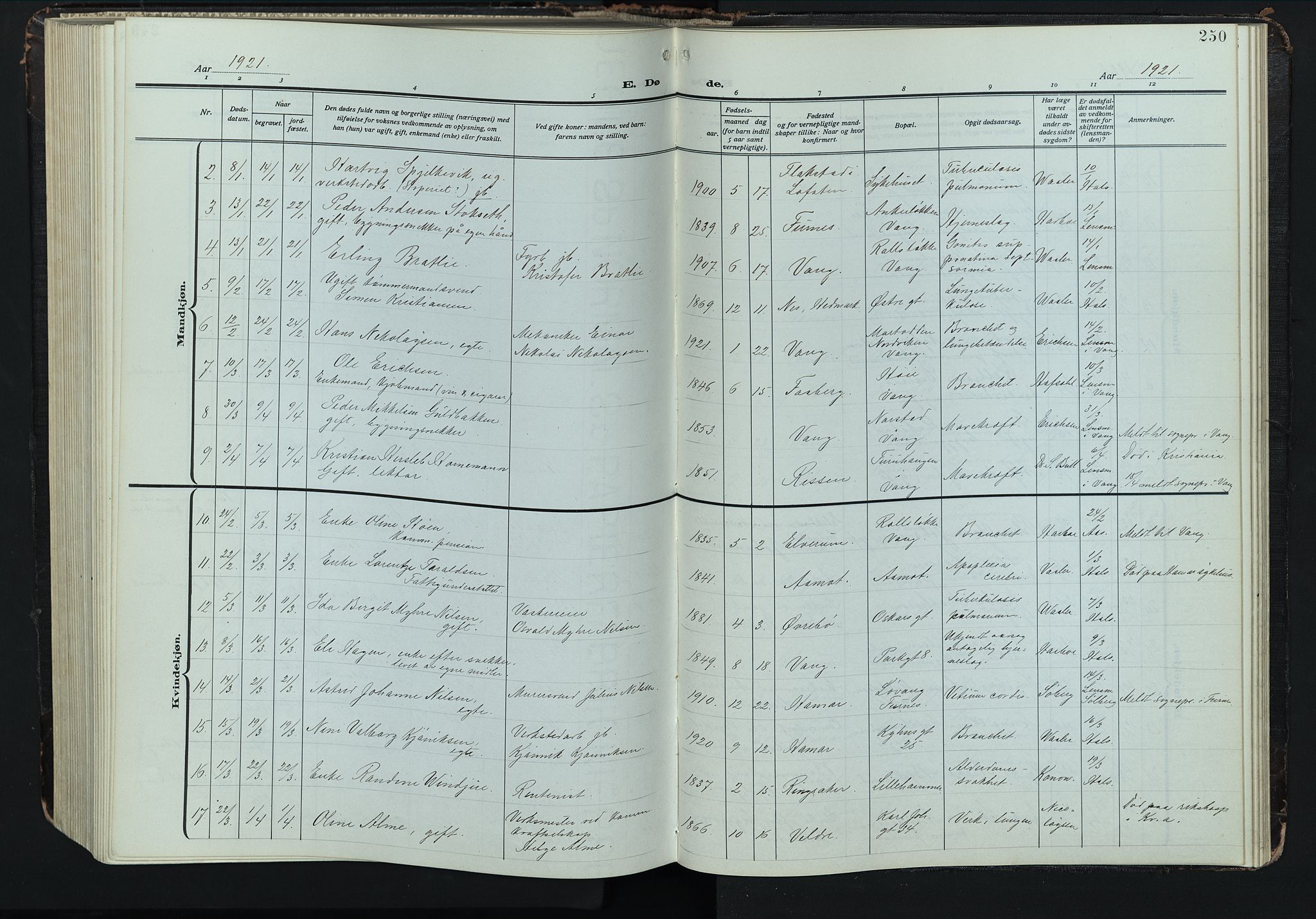 Hamar prestekontor, AV/SAH-DOMPH-002/H/Ha/Hab/L0004: Klokkerbok nr. 4, 1915-1942, s. 250