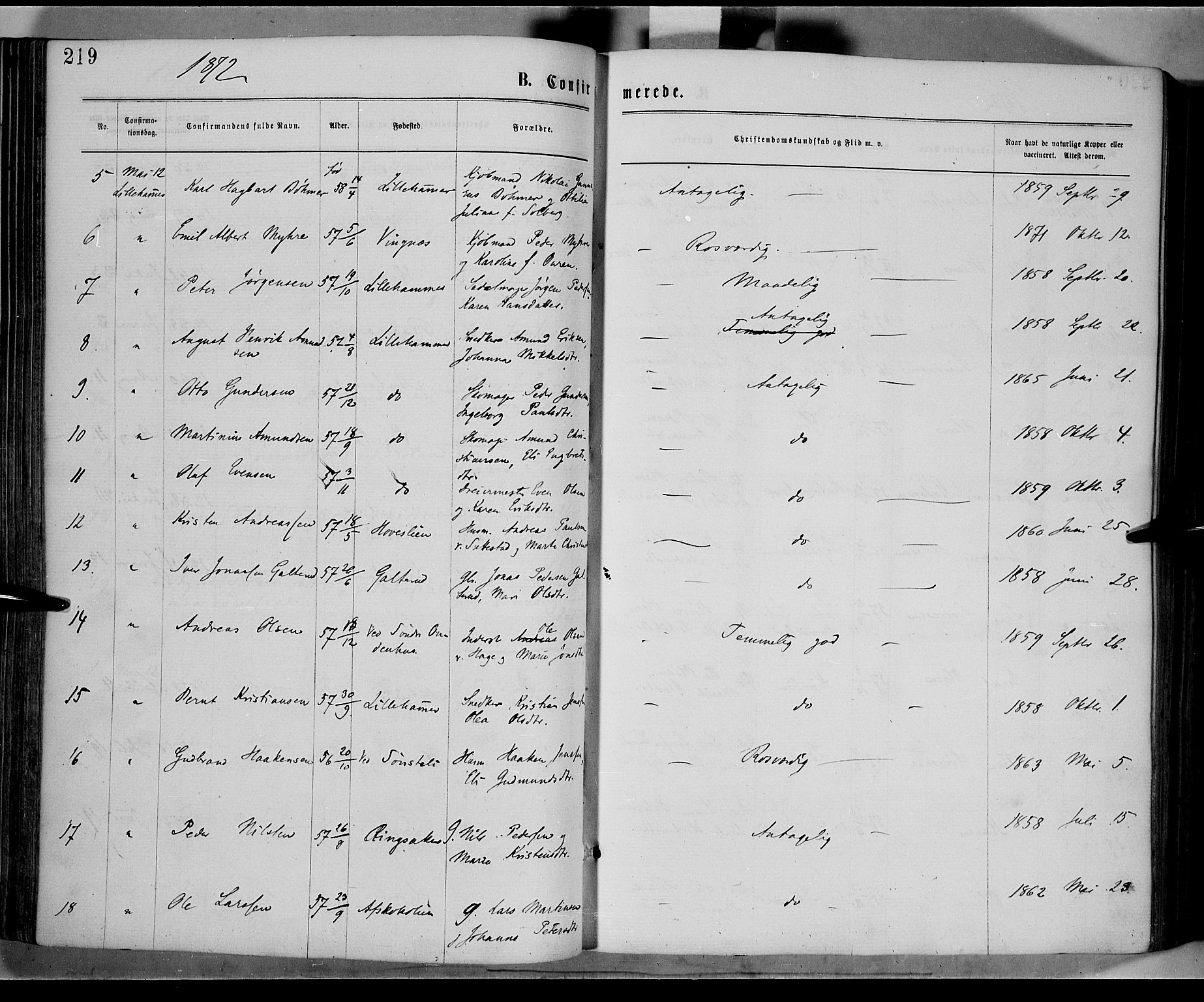 Fåberg prestekontor, AV/SAH-PREST-086/H/Ha/Haa/L0007: Ministerialbok nr. 7, 1868-1878, s. 219