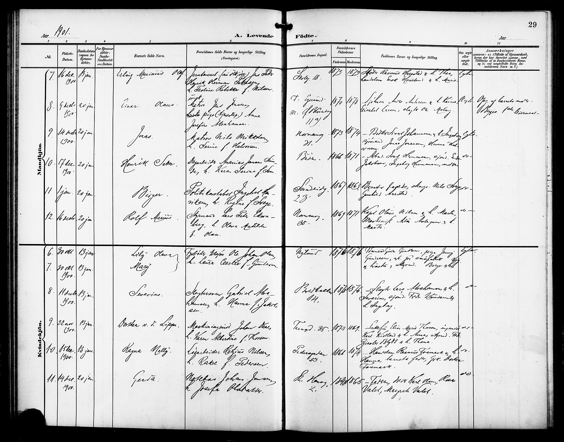 St. Johannes sokneprestkontor, AV/SAST-A-101814/001/30/30BB/L0004: Klokkerbok nr. B 4, 1900-1907, s. 29