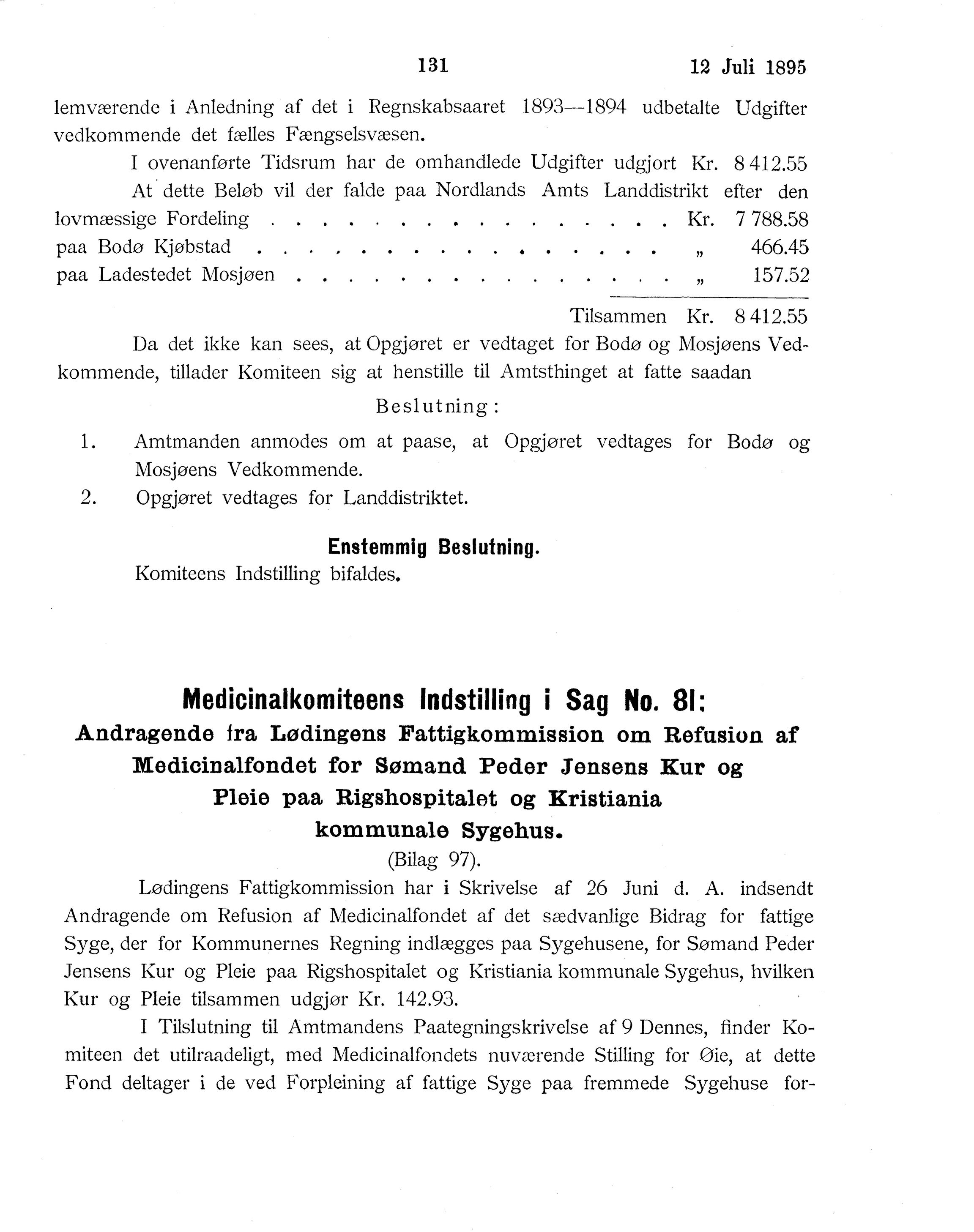 Nordland Fylkeskommune. Fylkestinget, AIN/NFK-17/176/A/Ac/L0018: Fylkestingsforhandlinger 1895, 1895