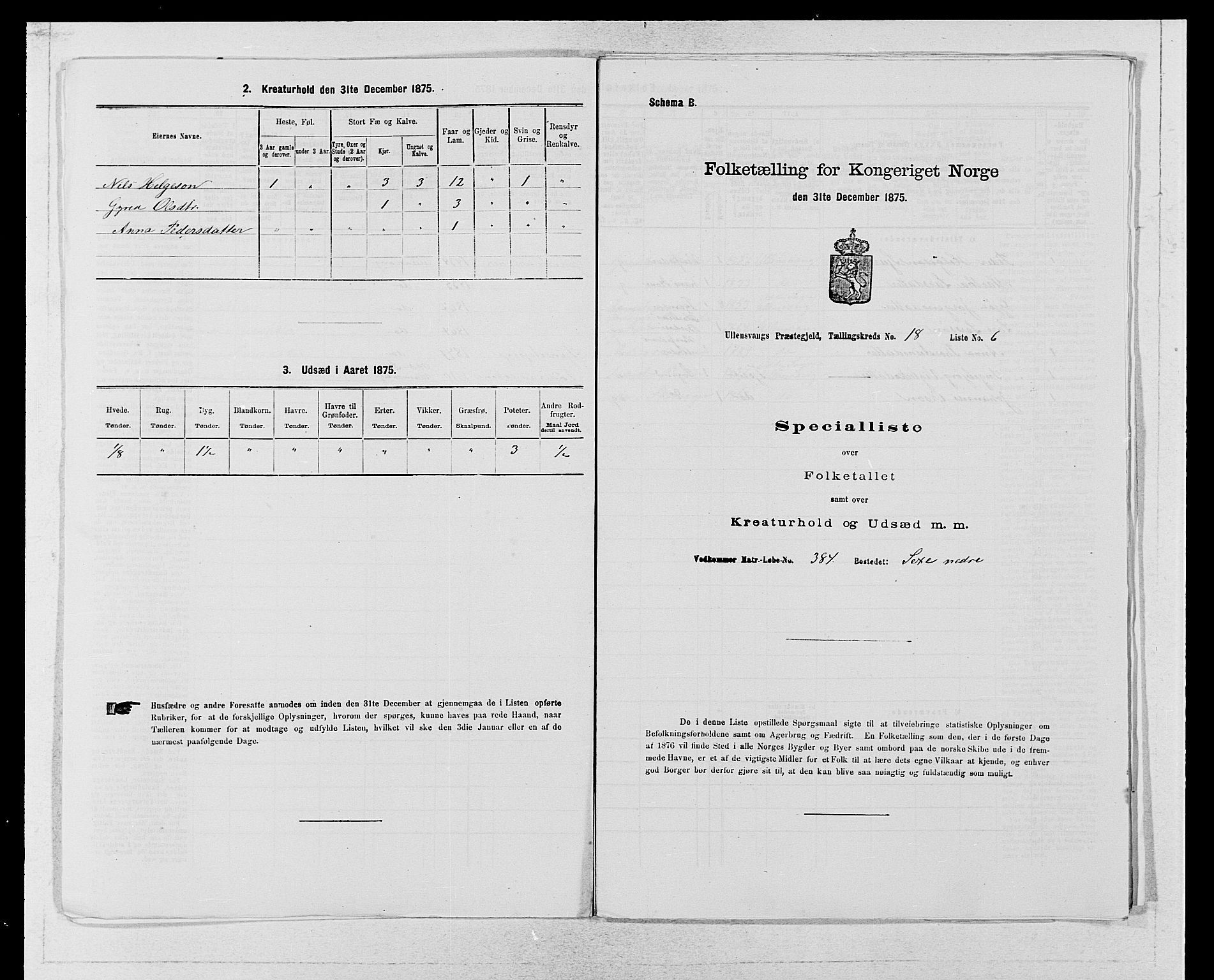 SAB, Folketelling 1875 for 1230P Ullensvang prestegjeld, 1875, s. 1869